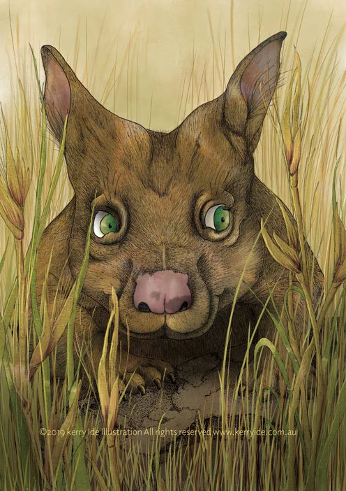Wombat_flattenedSquarespace.jpg