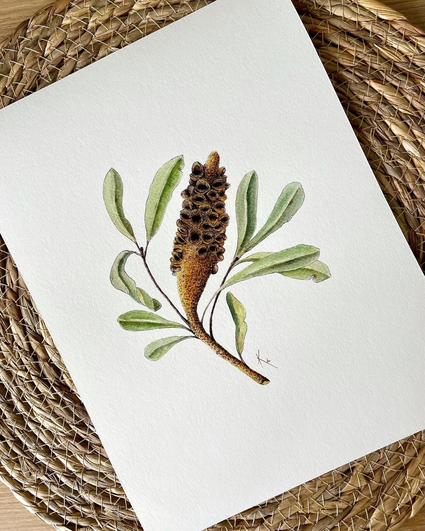 Awakening_Banksia Pod.JPG