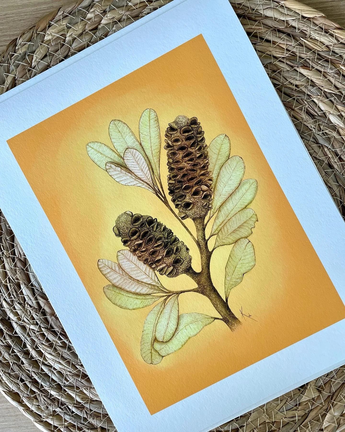 Kerry Ide_banksia.JPG