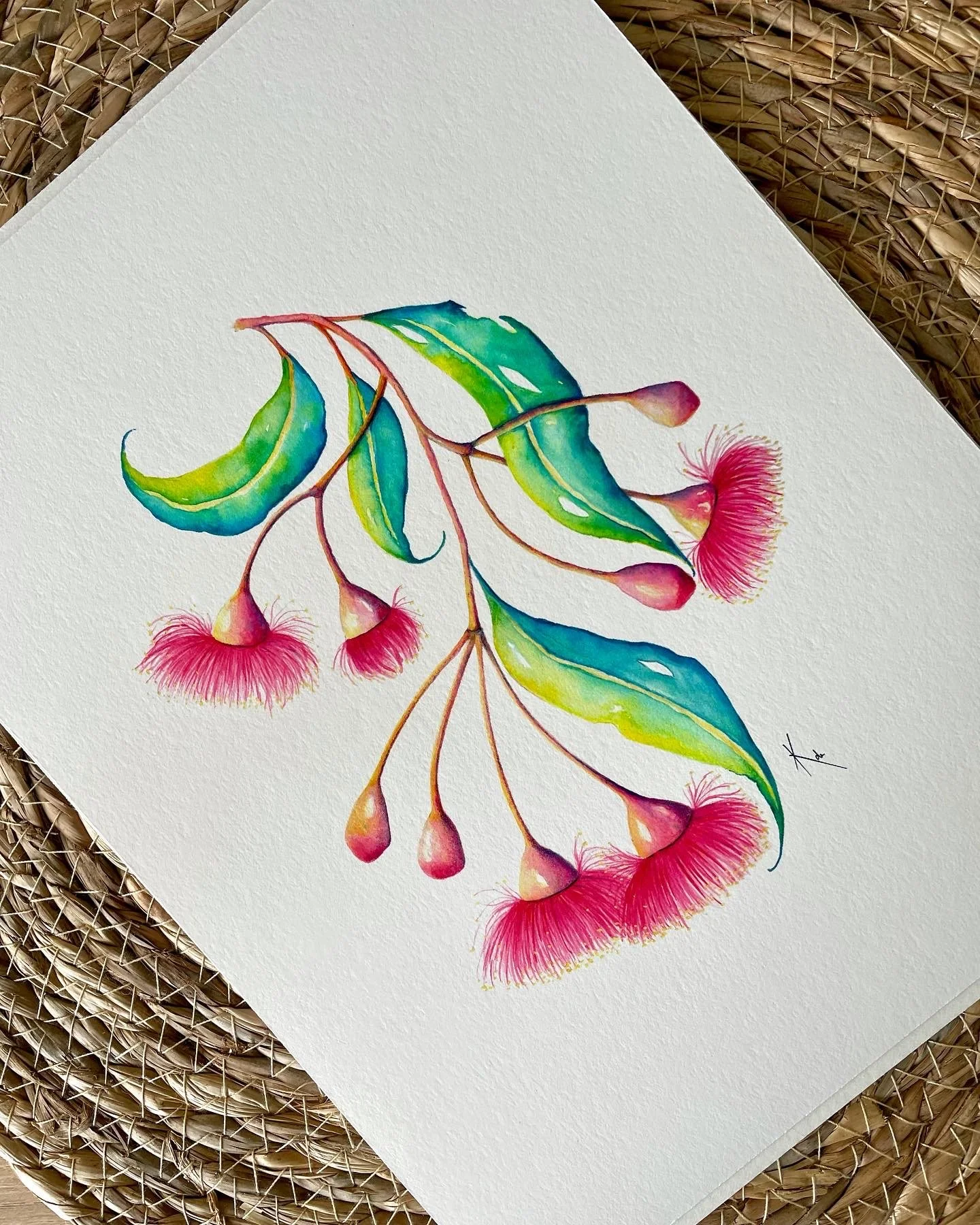 Gum Spring Bloom.JPG