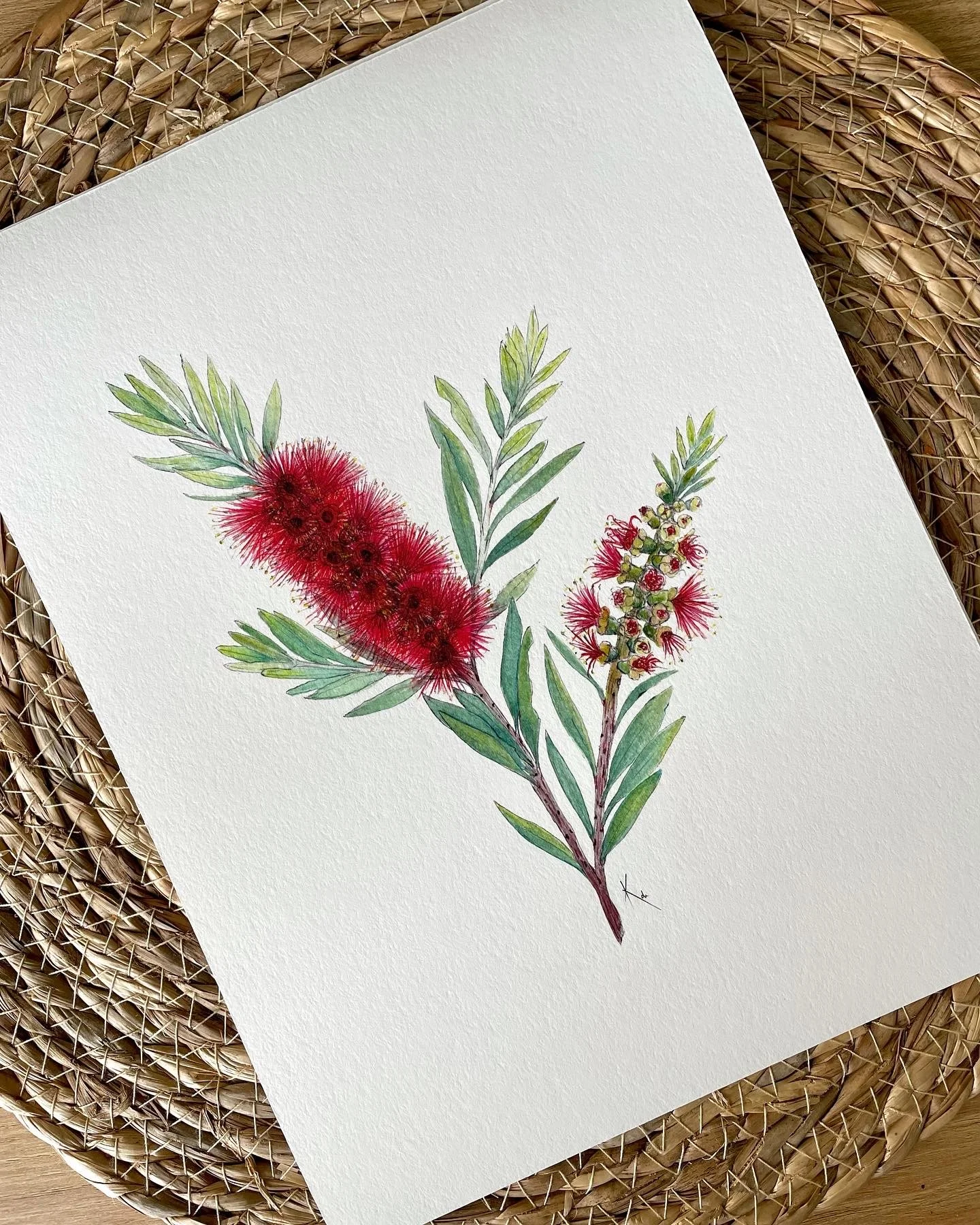 Crimson Treasure_Bottle Brush.JPG