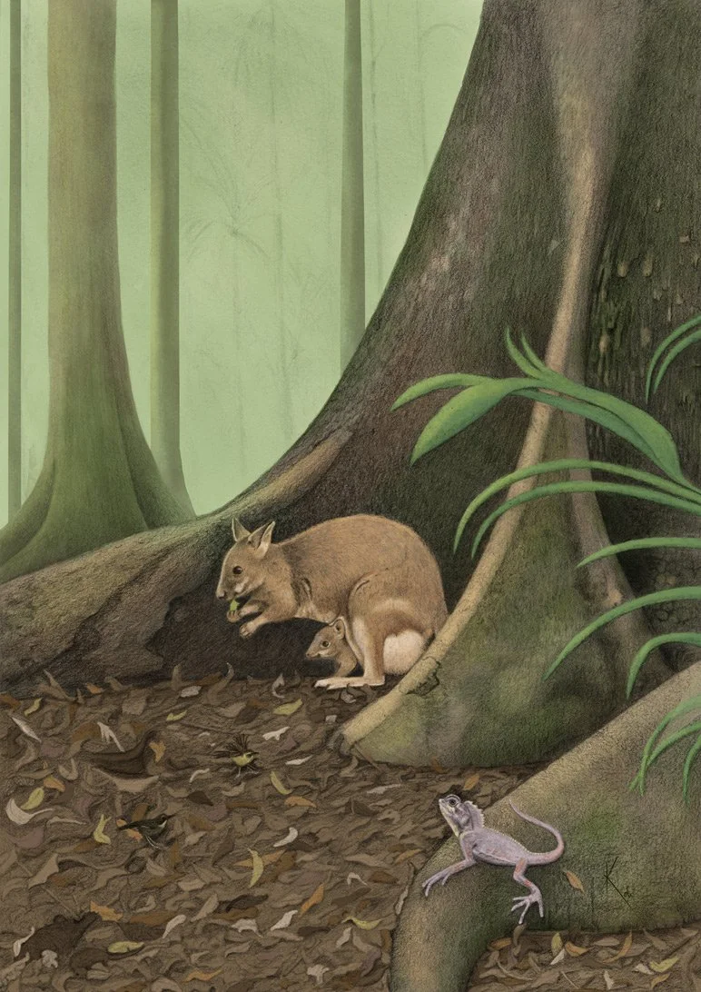 Forrest-Scene-1-copyweb.jpg