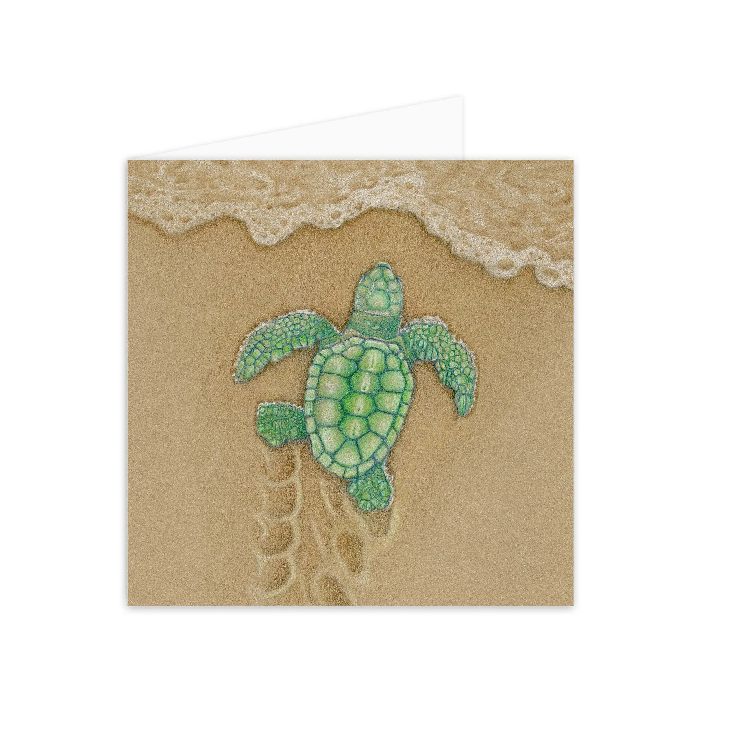 Koala 'Lucky Escape'_card copy.jpg