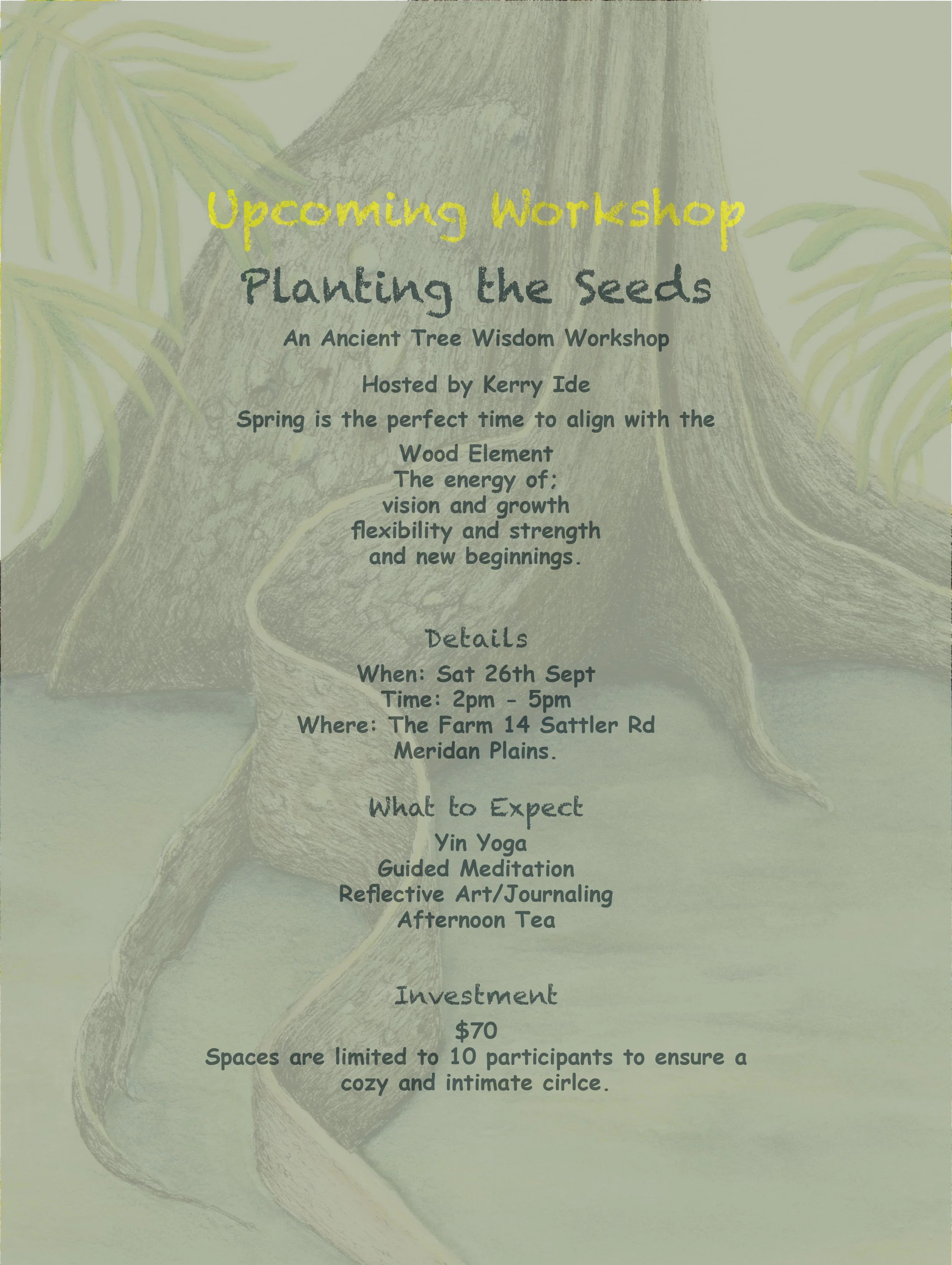 Planting the Seeds Website 2.jpg