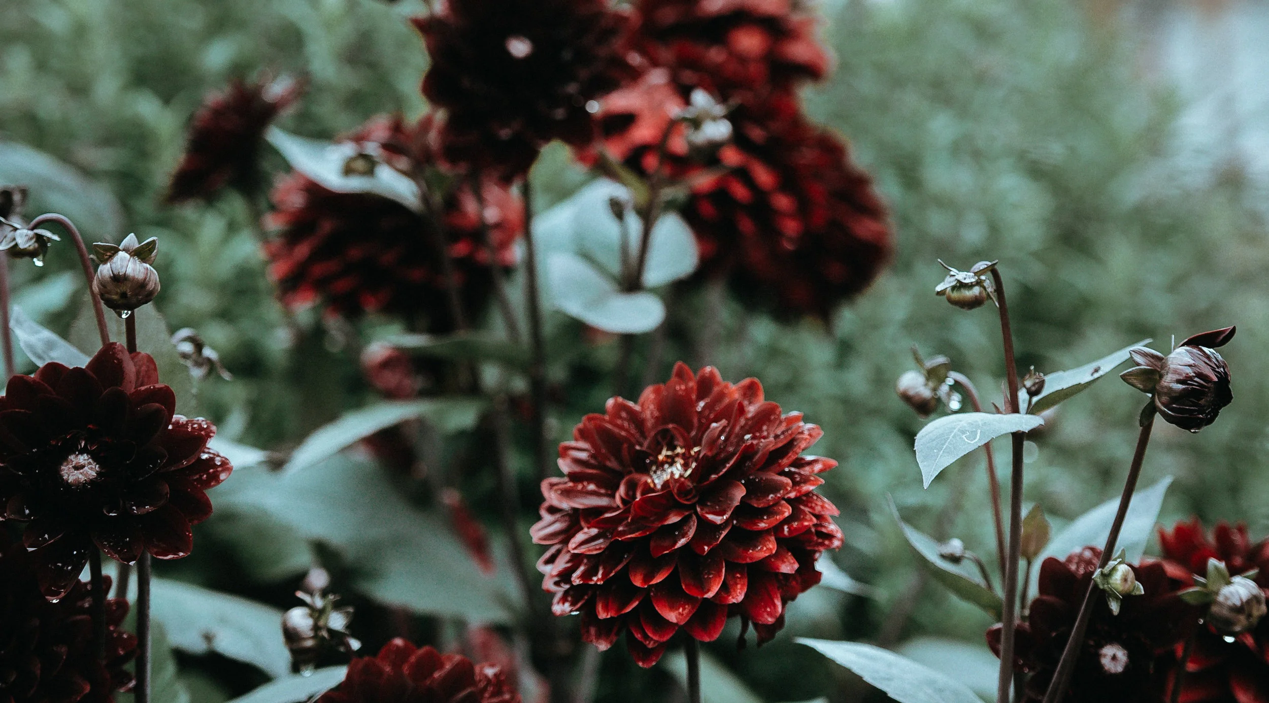 Notes on Regaining Autonomy: Part III