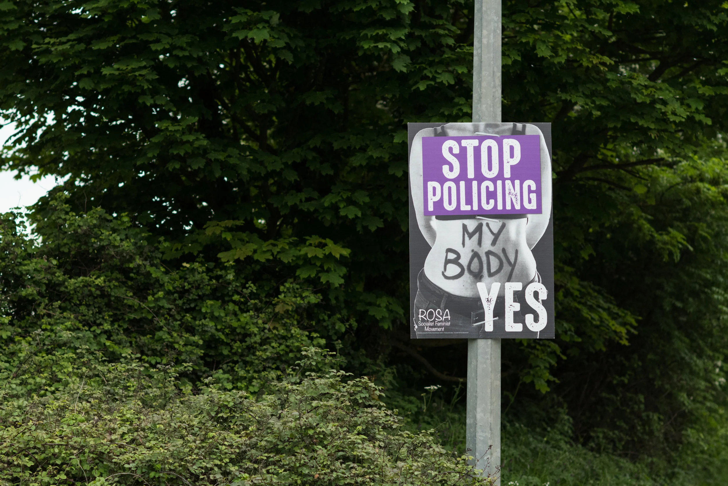 A Repeal From The People // Dispatches From The Irish Referendum