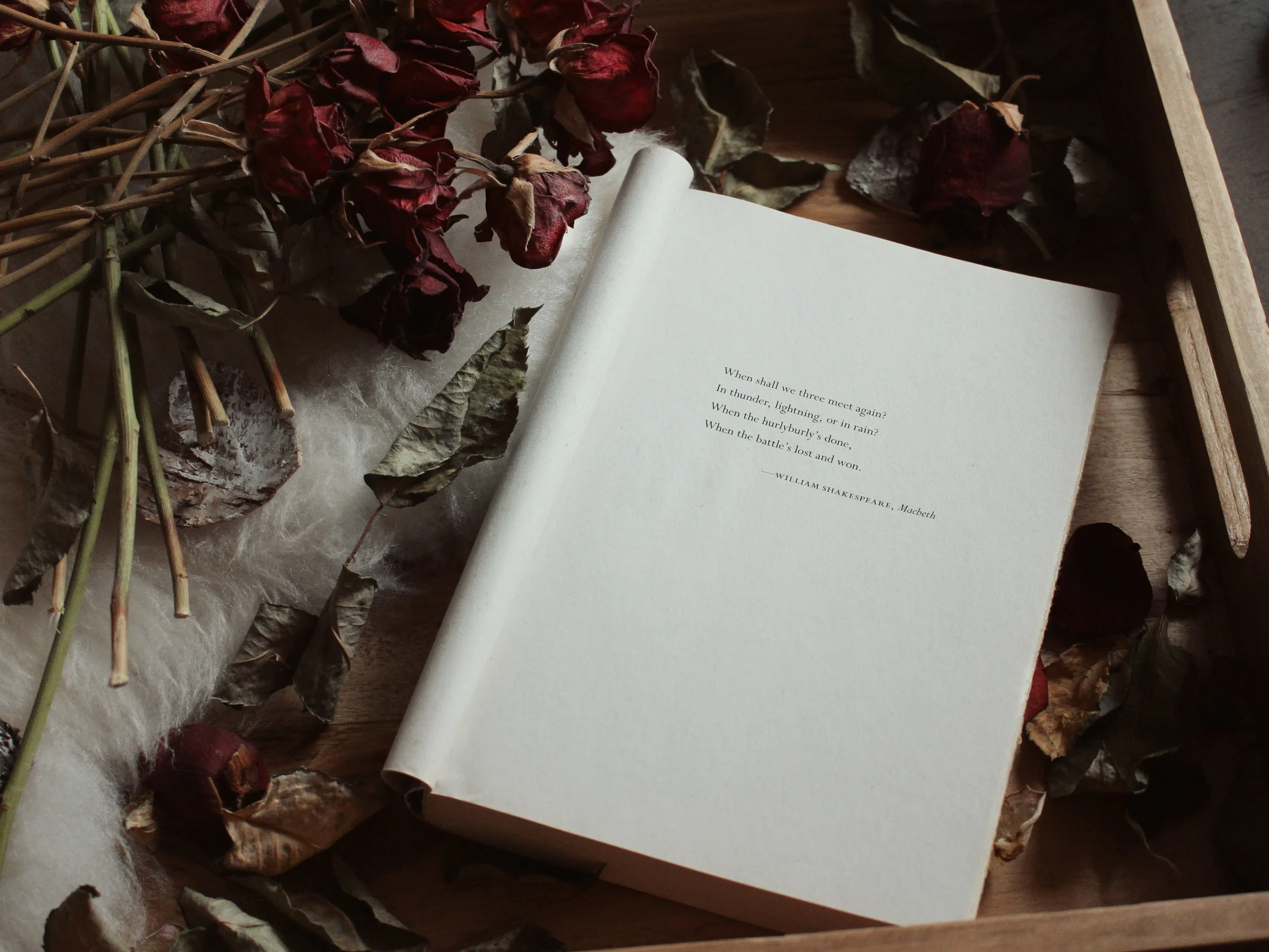 Unsex Me Here // On the Power of 'Evil' Women in Macbeth