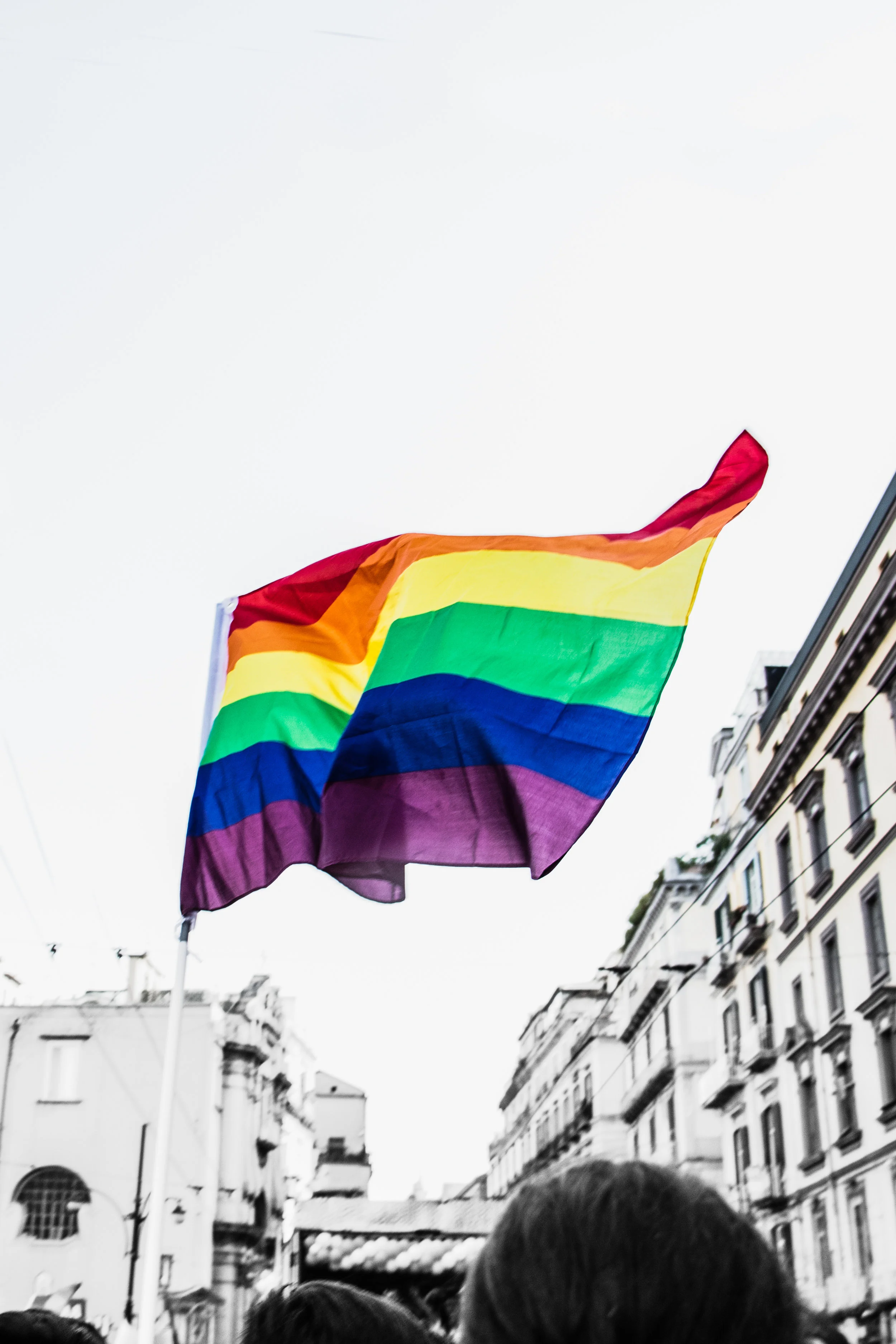 The Rainbow Wave // Women of Color &  LGBTQs Who Won the Midterms