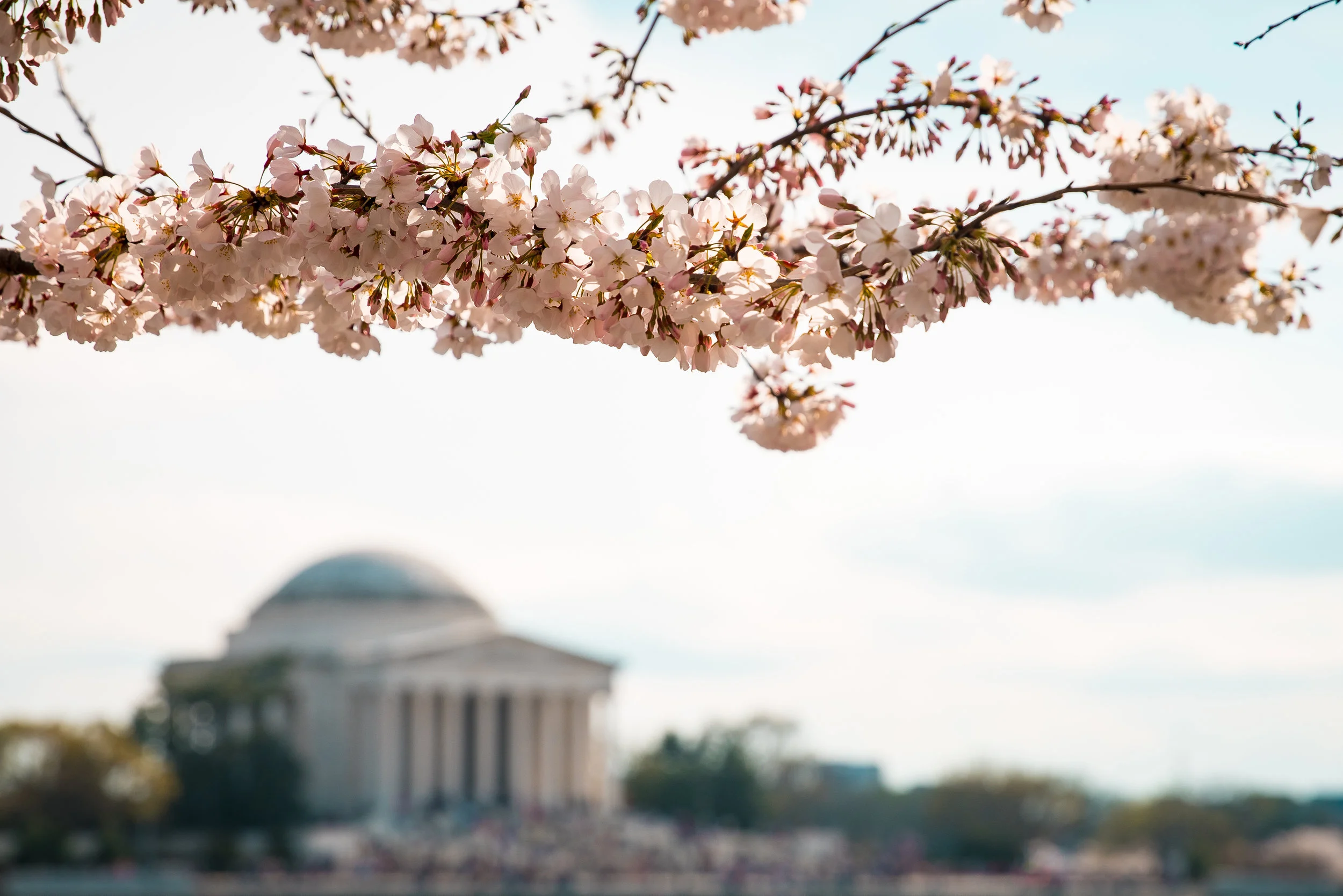 Women's Wire Weekly // A Digest for the Feminists of DC