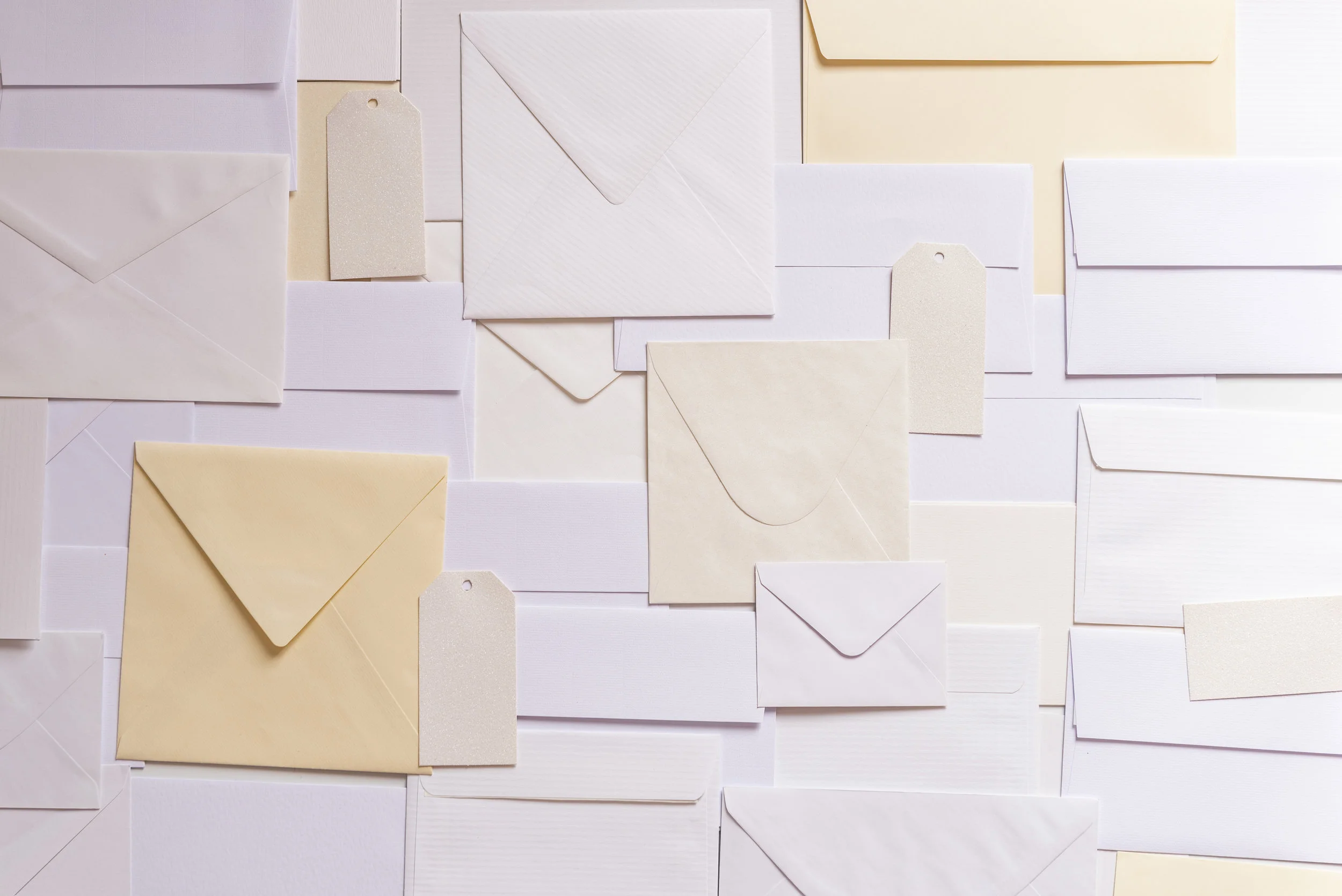 Letter from the Editor // Vol. 2