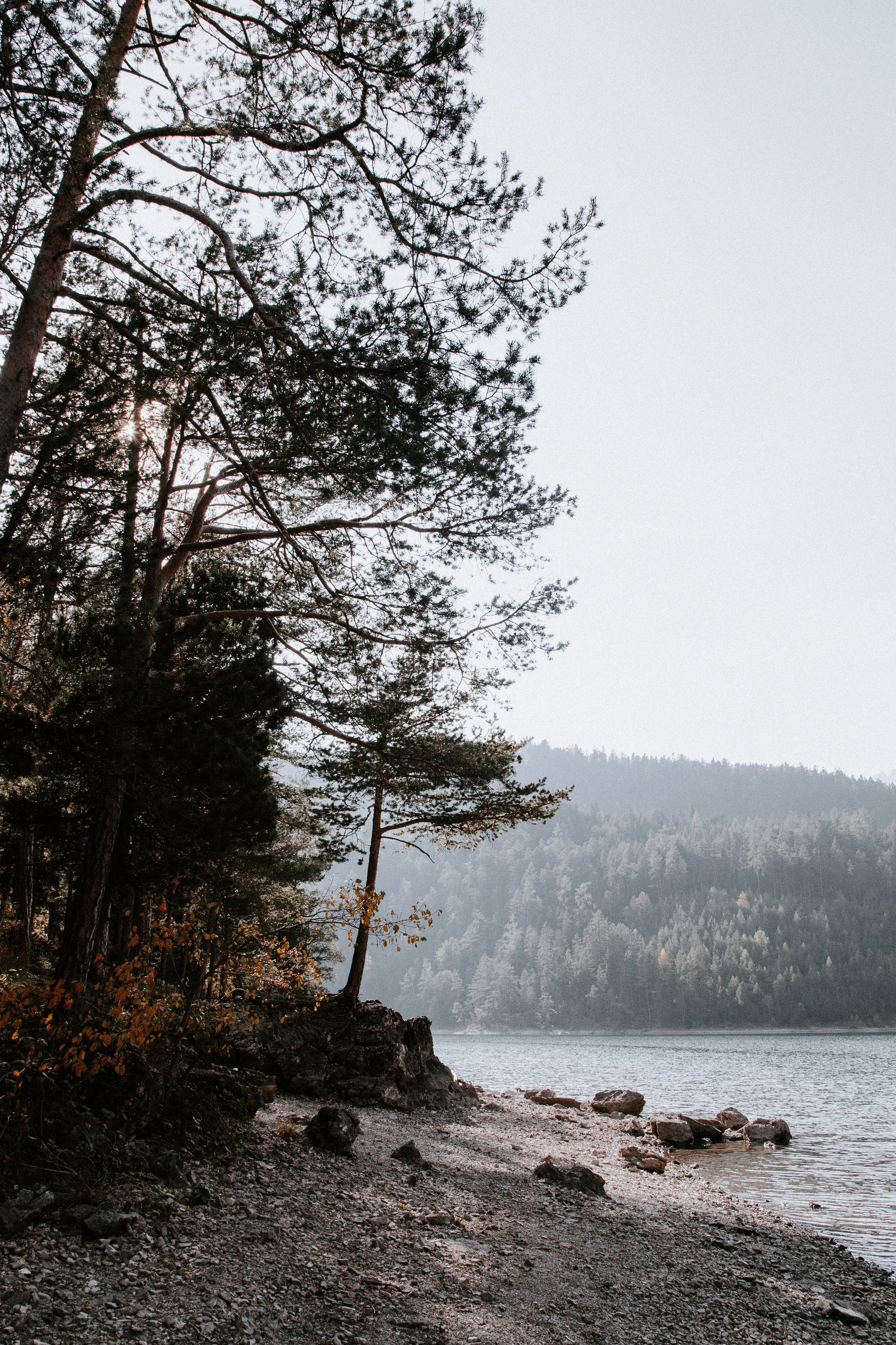 Finding Comfort In the Unknown || New Steps