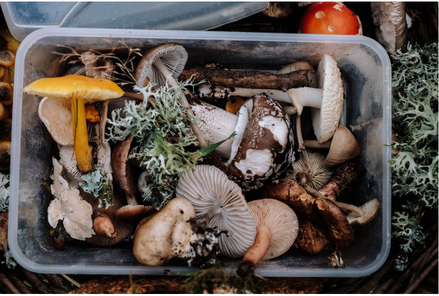 Things That Saved Me This Month