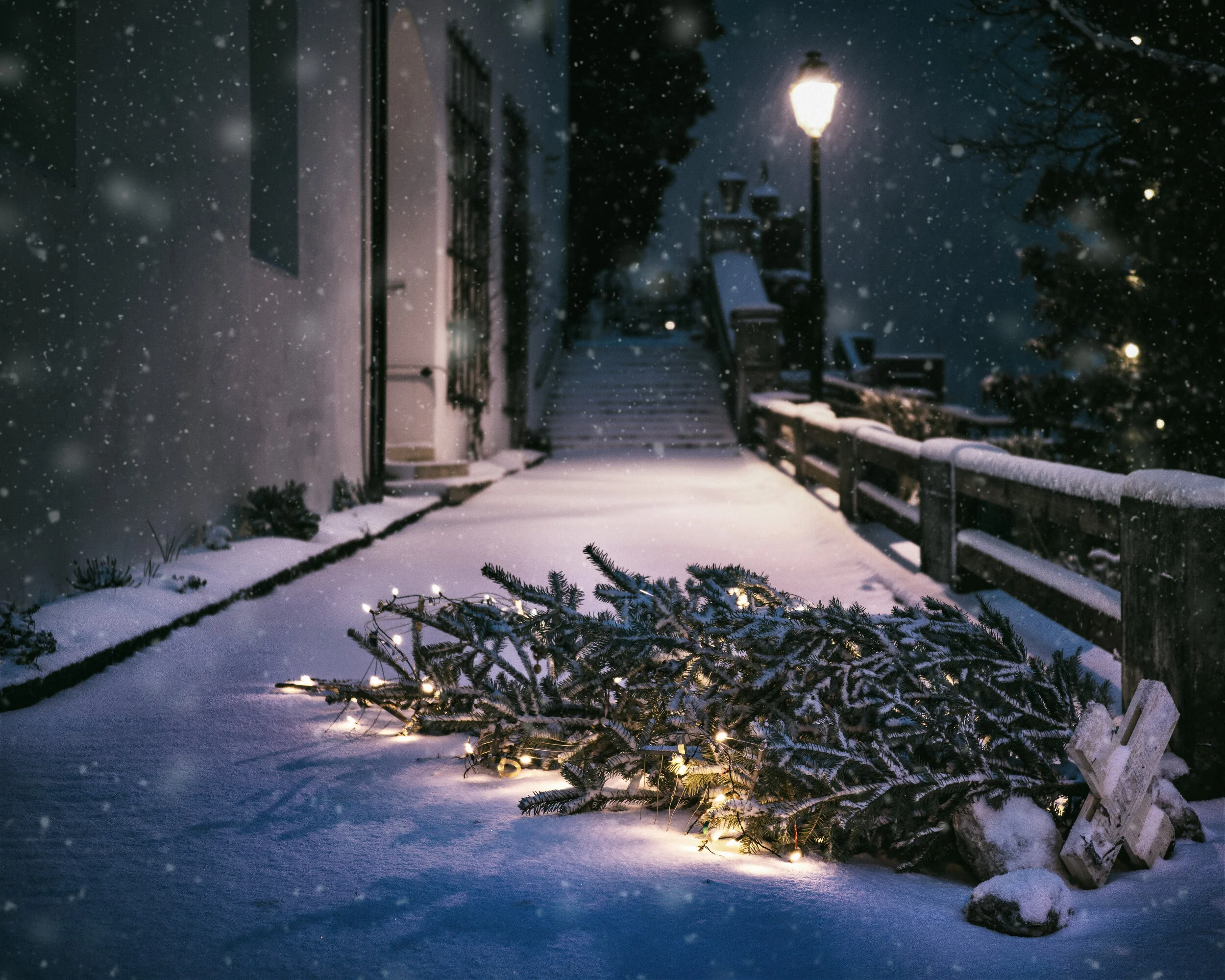 My Ex, His Mother, His Truck, and Her Tree: On Holiday Mourning