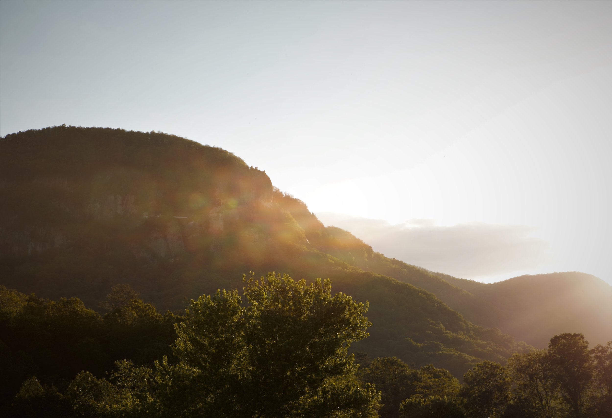 On Moving Back to Appalachia