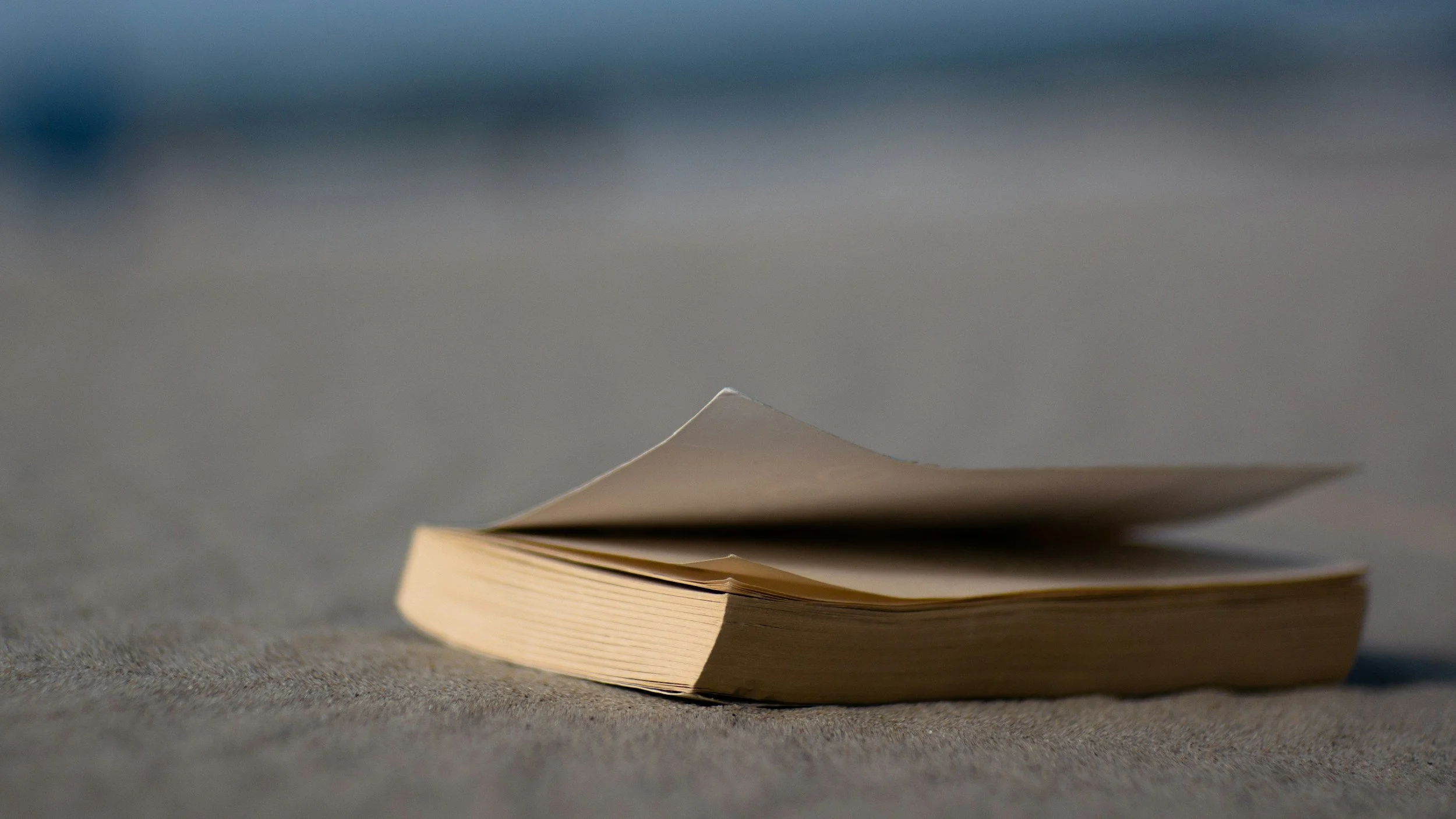 The Sea Library:  A Conversation with Anna Iltnere
