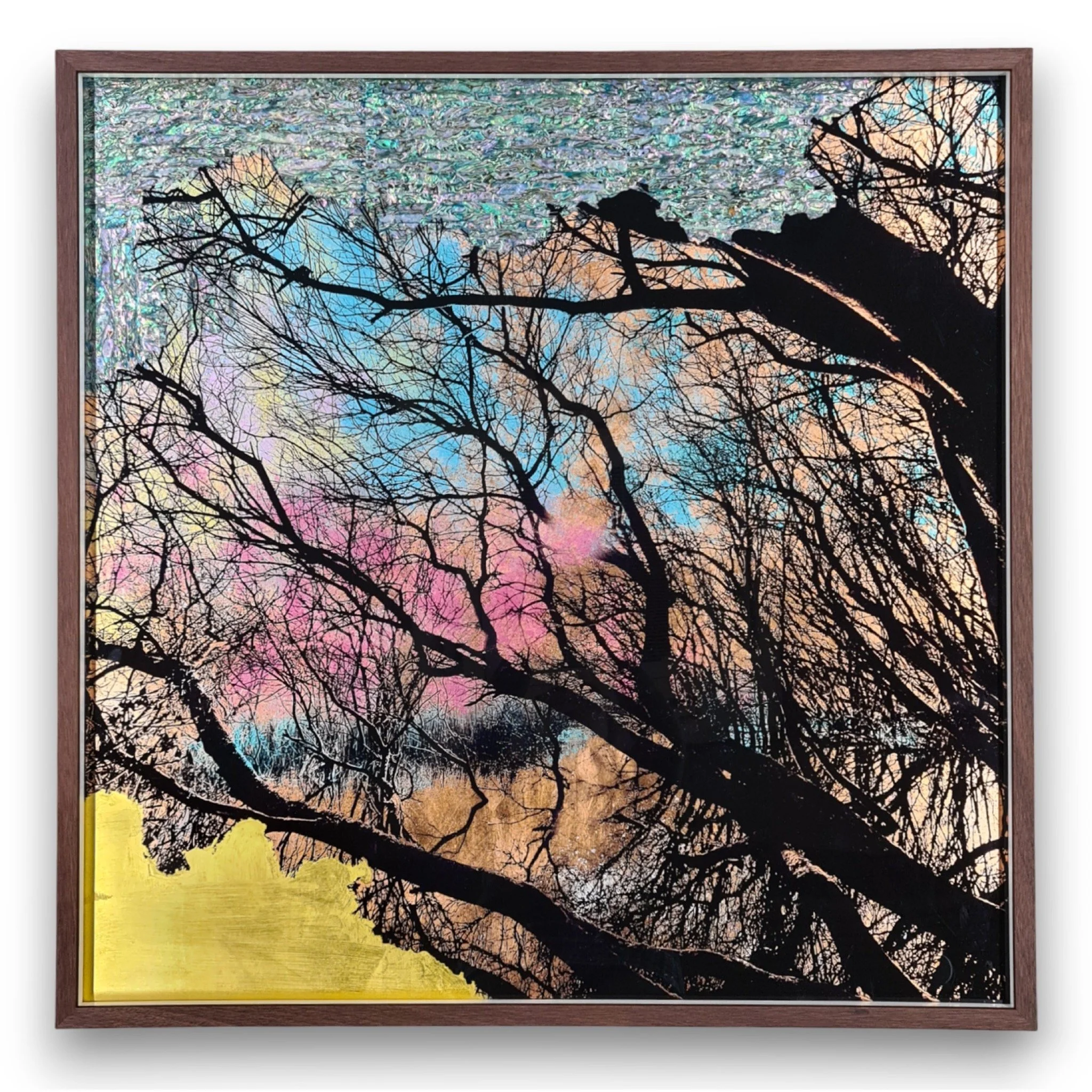 SIX_BC08CC68-0F52-4EB2-B757-6C62DC515A66 2.JPG