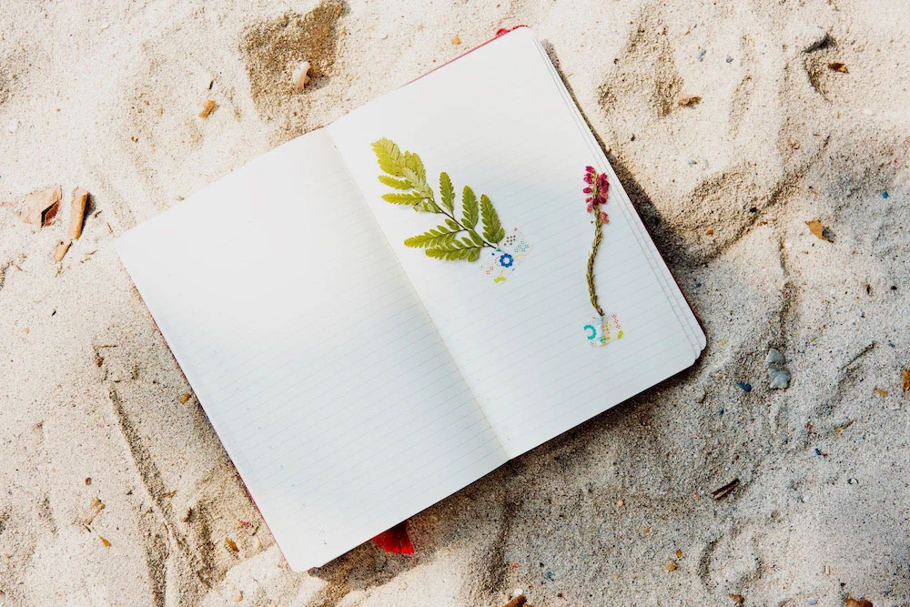 open notebook in sand on beach.jpg