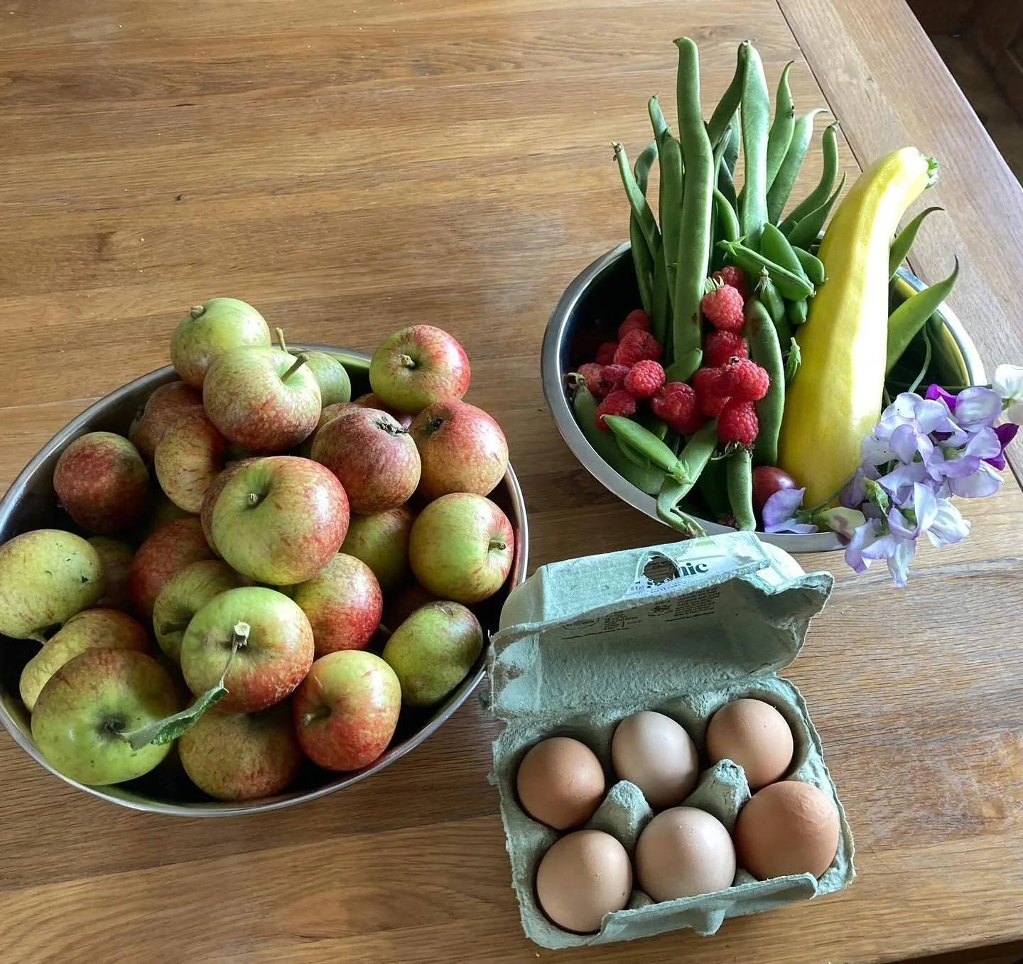 Daily harvest&rsquo;s starting to get good!