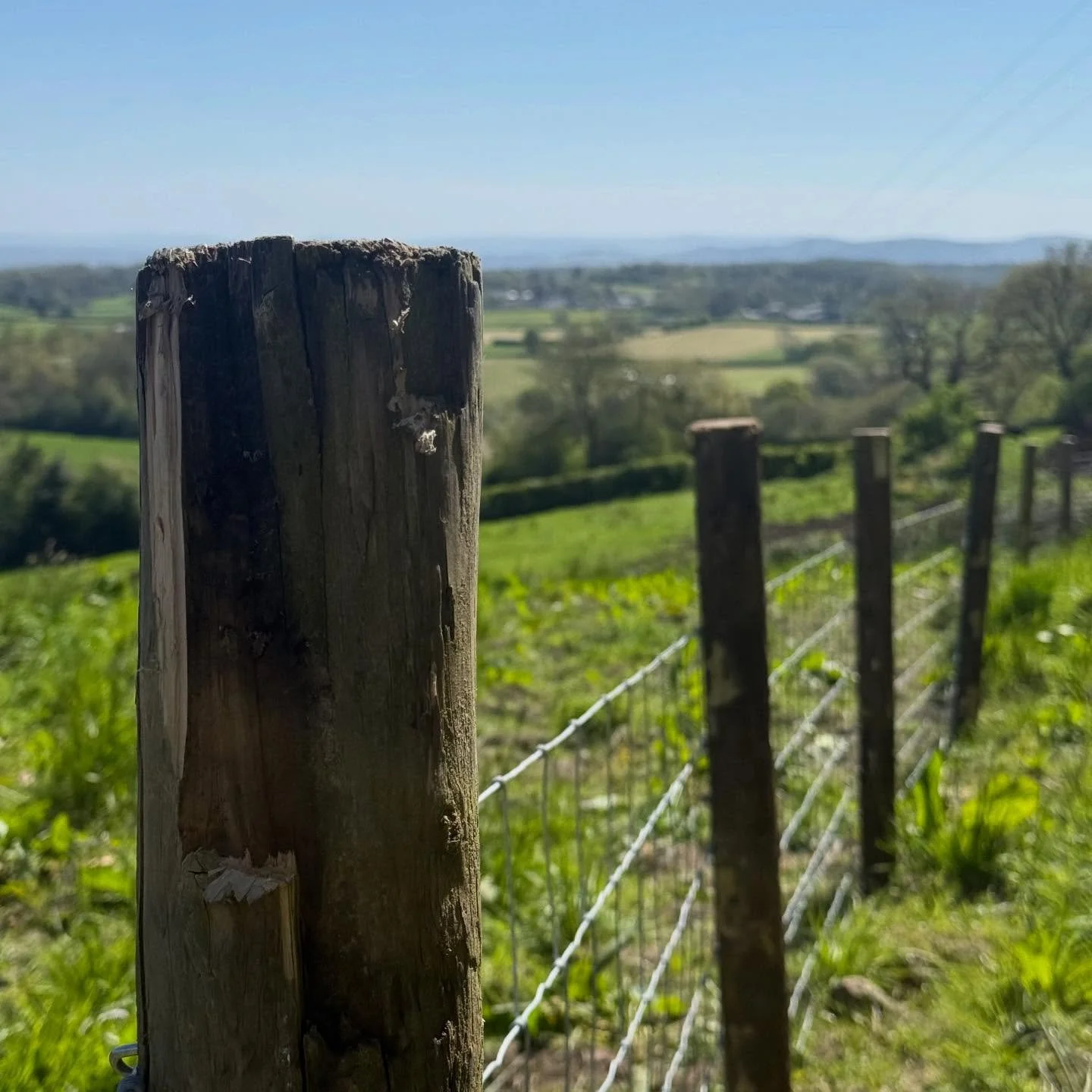 Got some fencing done while the weather&rsquo;s nice.