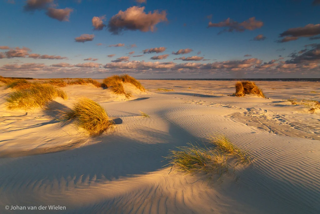 JvdWielen_2014_05_03-I7D_0406-v2.jpg
