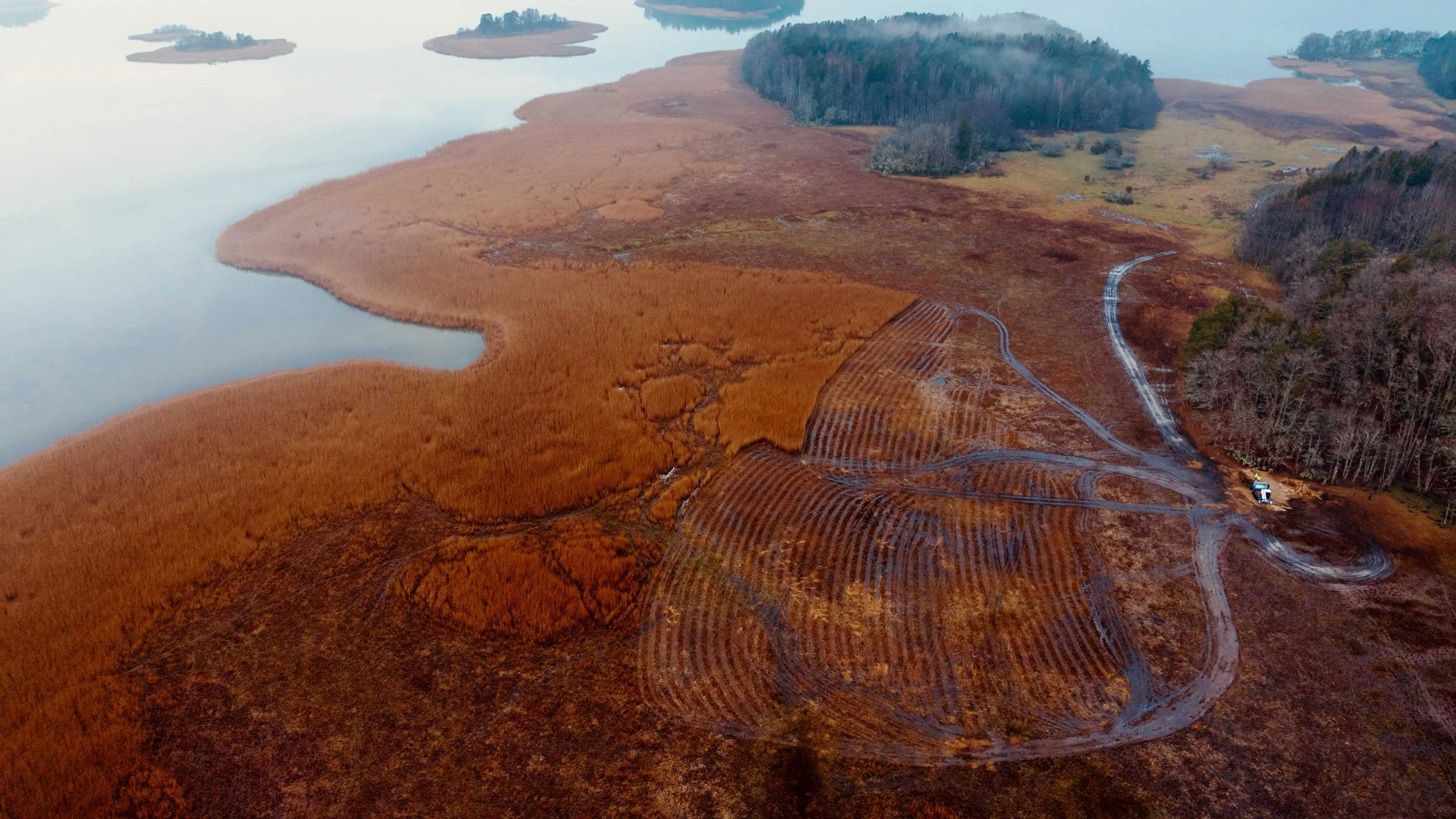 BalticReed: from pilots to&nbsp;new circular business opportunities&nbsp;