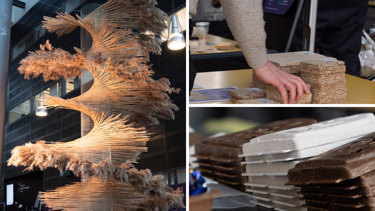 BalticReed: Turning results into real change