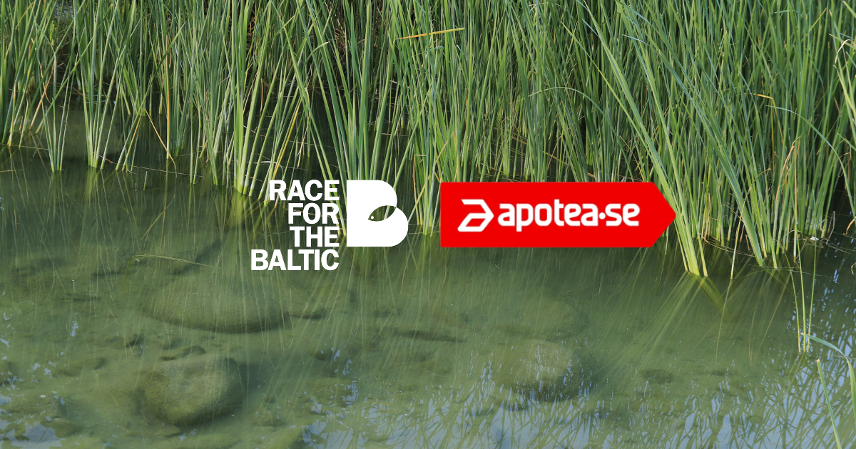 Our long-term collaboration with Apotea for a healthier Baltic Sea