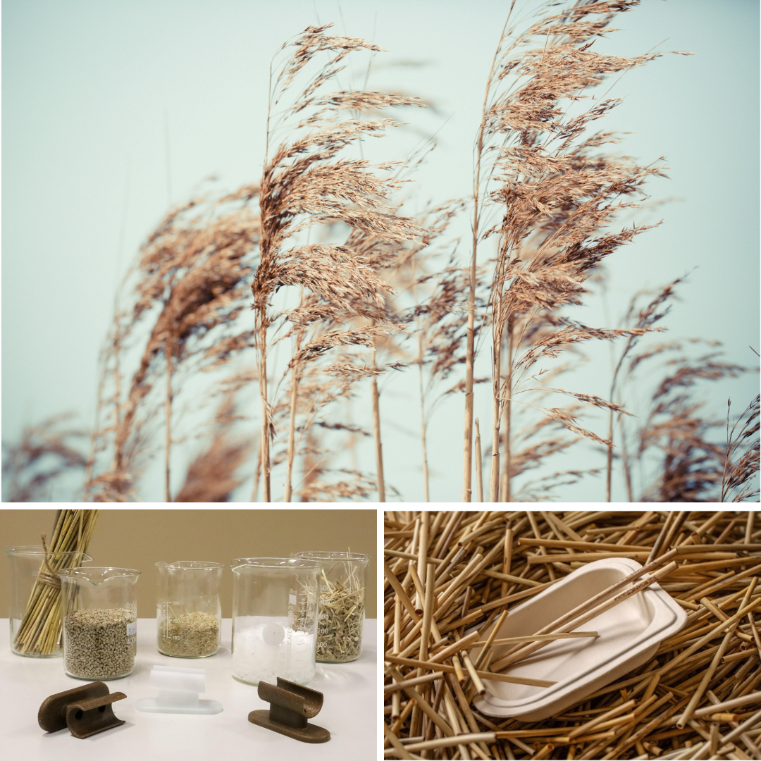 Taking reed-based solutions to the next level