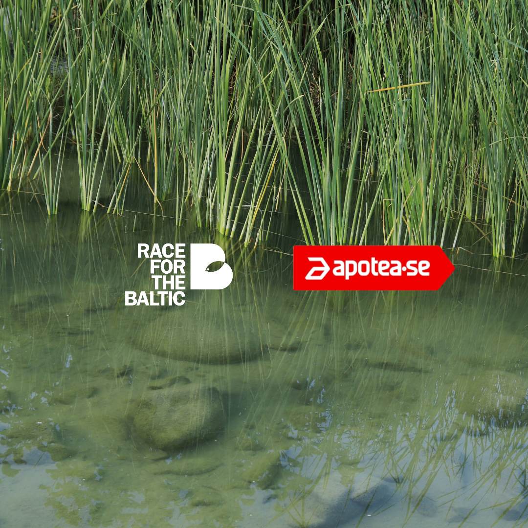 Our long-term collaboration with Apotea for a healthier Baltic Sea