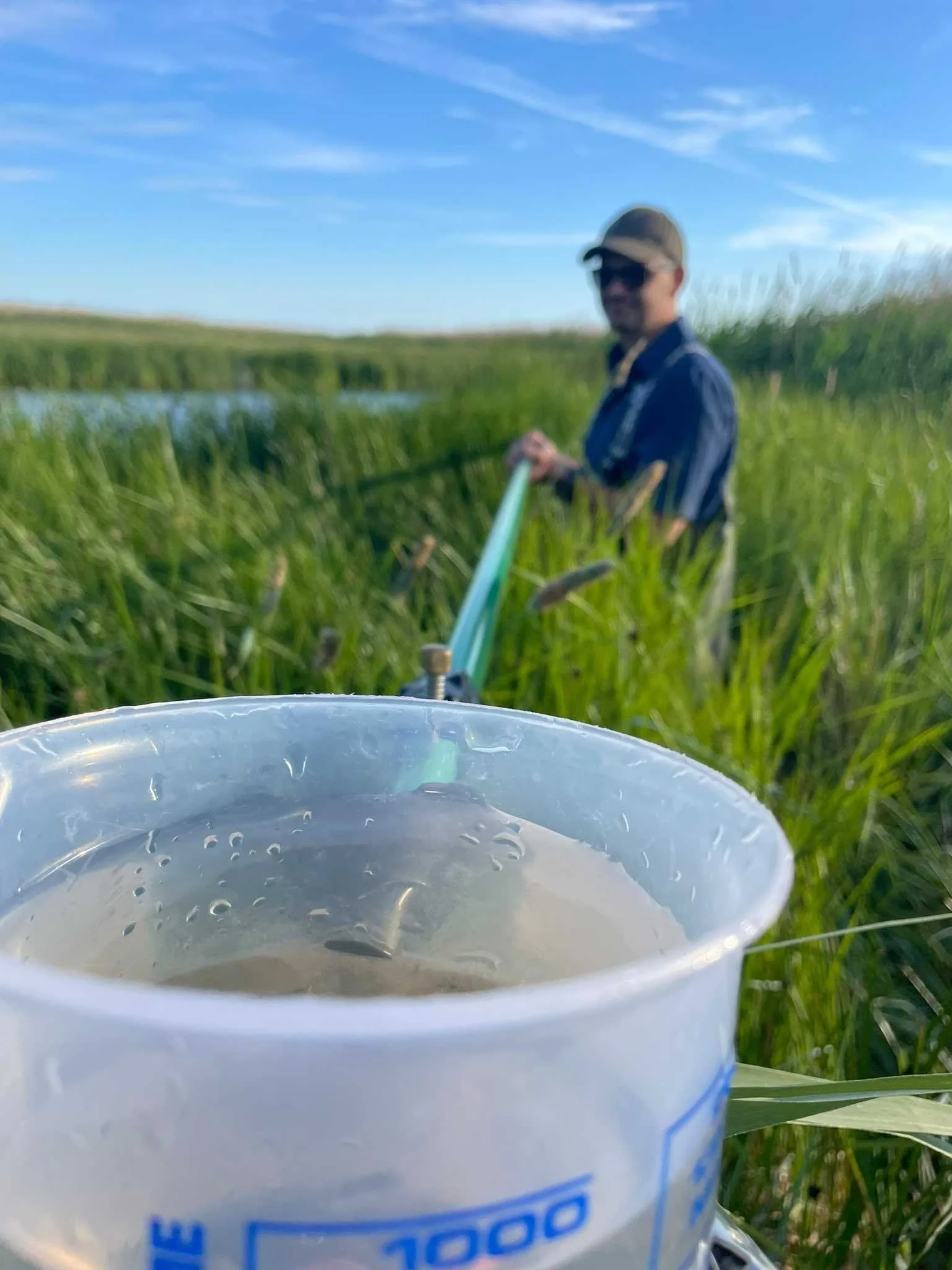 How do we scale restoration?