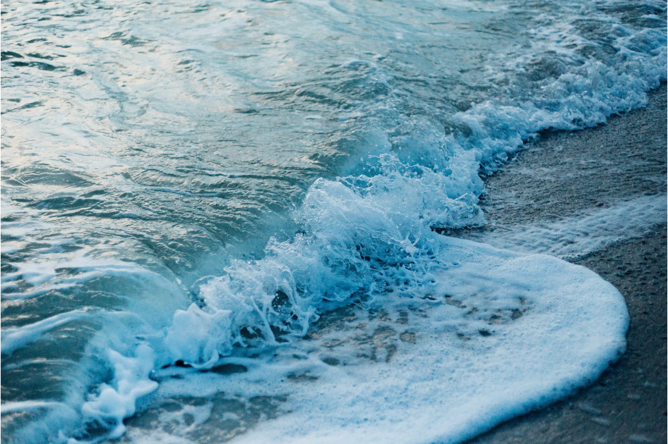 Photos website (16).png