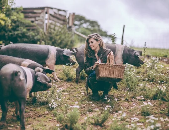 Image from Pipers Farm