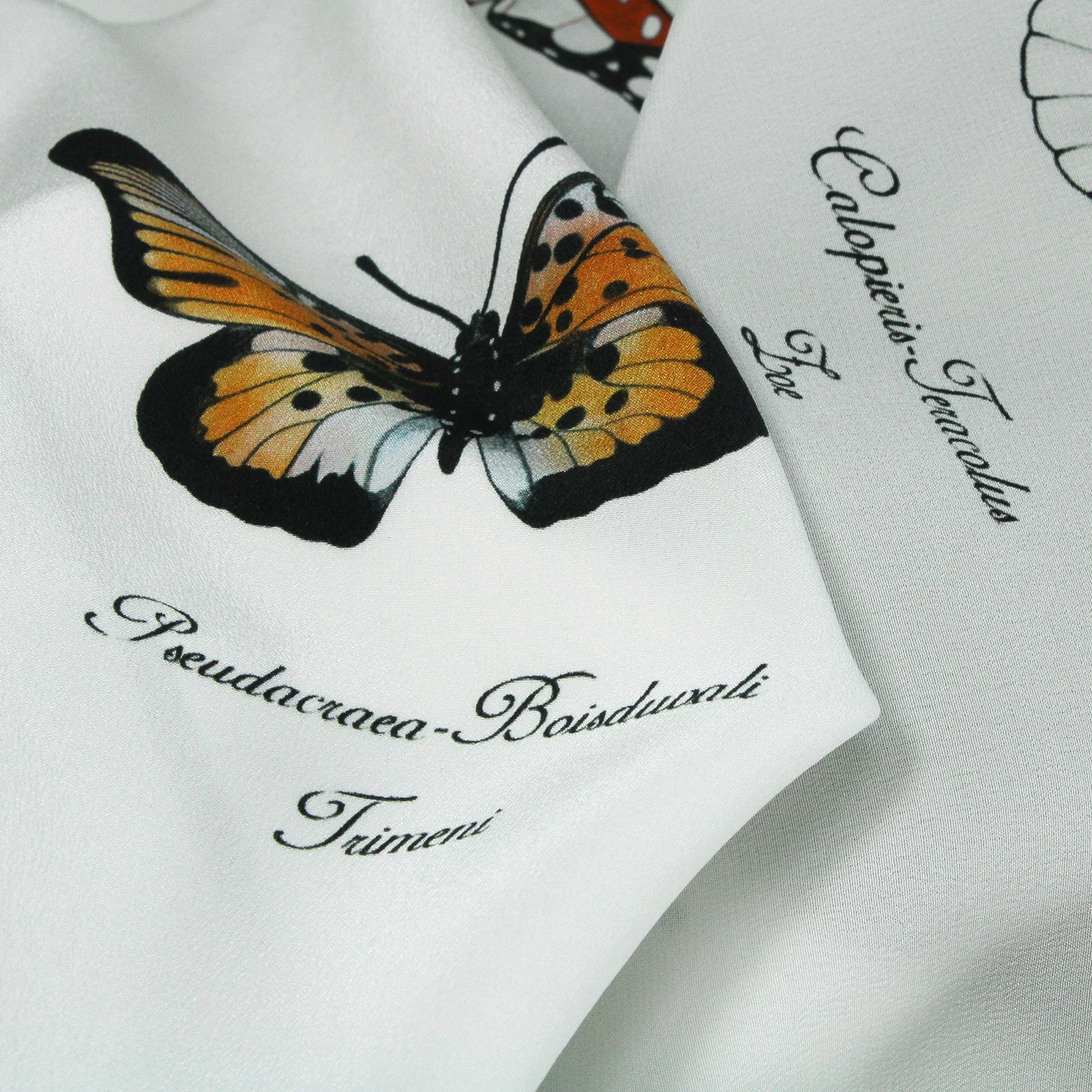 Butterfly Collection Detail.jpg
