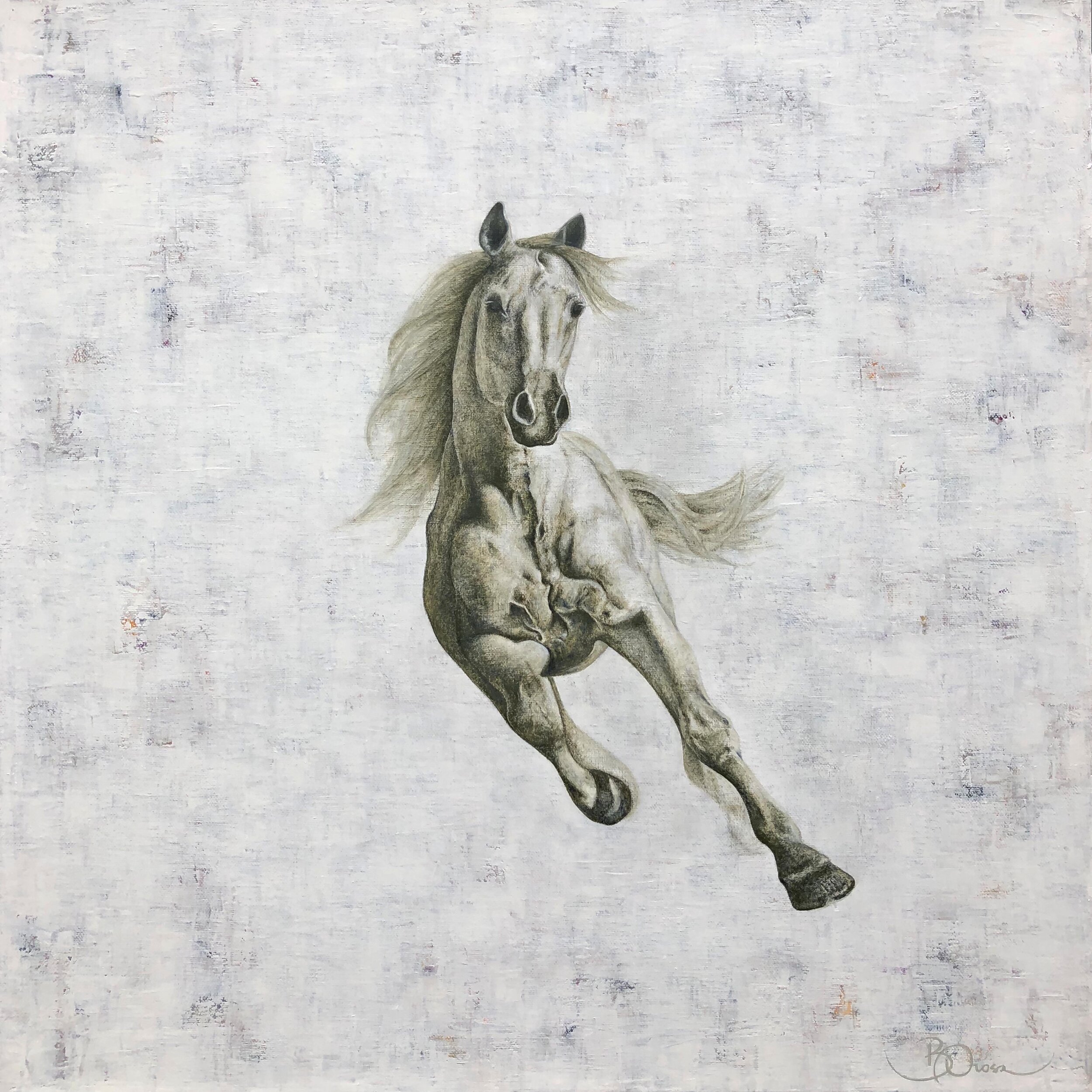 Freedom 61x61cm.jpg