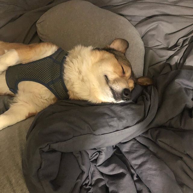 Losing no sleep over here