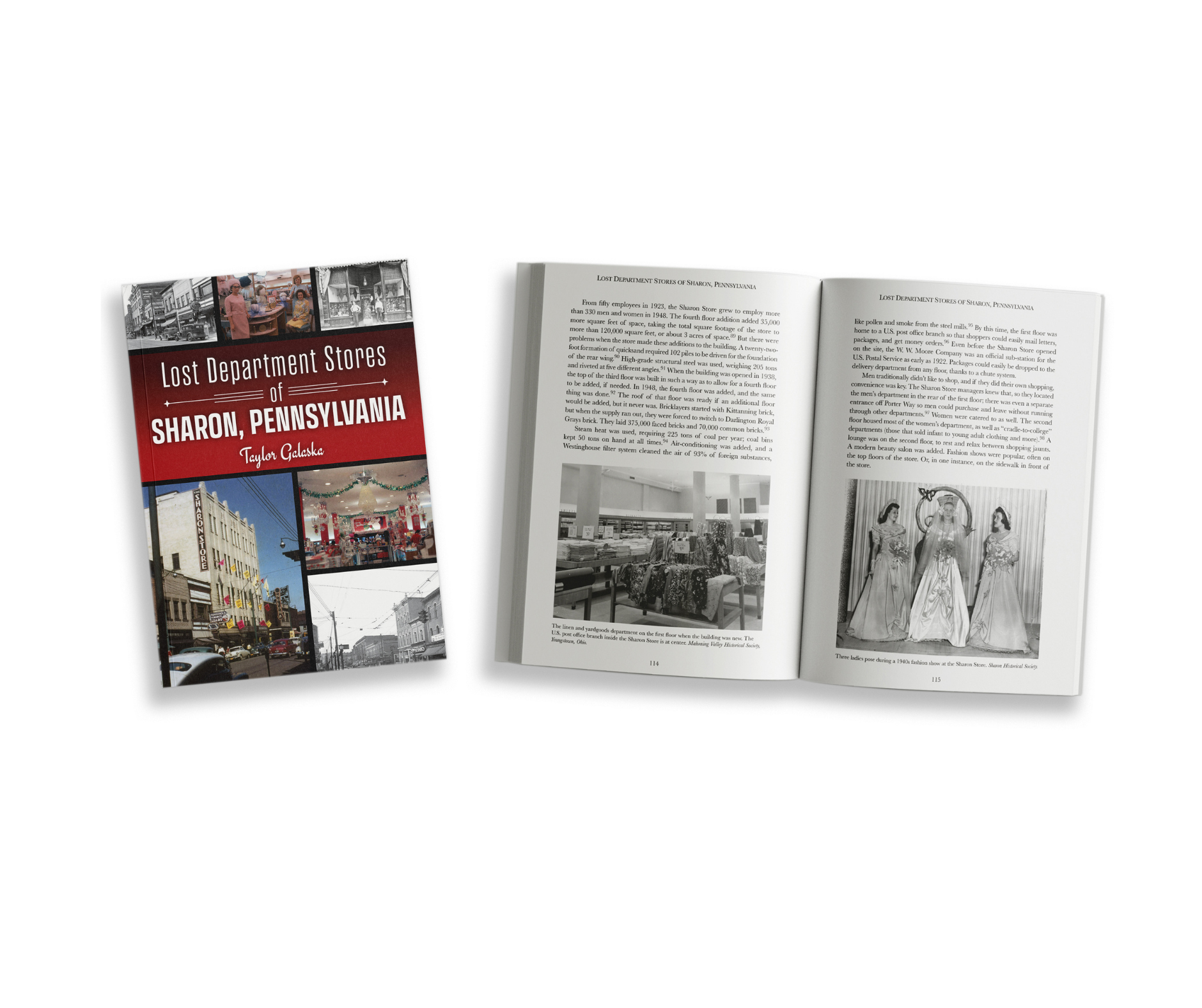 Copy of Copy of Gilded Age Book 2.png