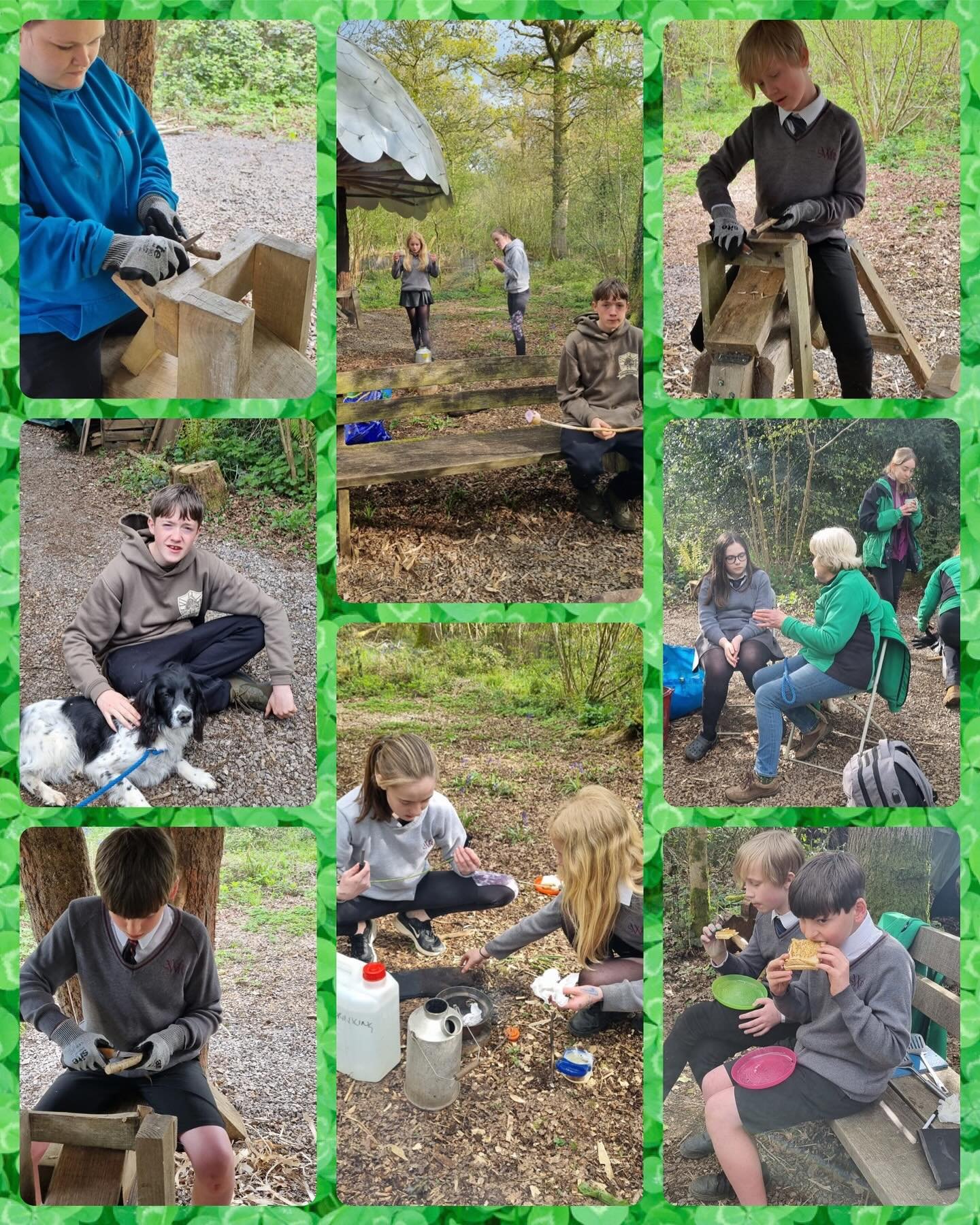 Wild Westonbirt Week #3 cheese toasties over the fire, whittling a butter knife, identifying trees, leaf printing and a flower walk. All in an afternoons work for this amazing group 🌳🌳🌳🌸🌼🍁🍂