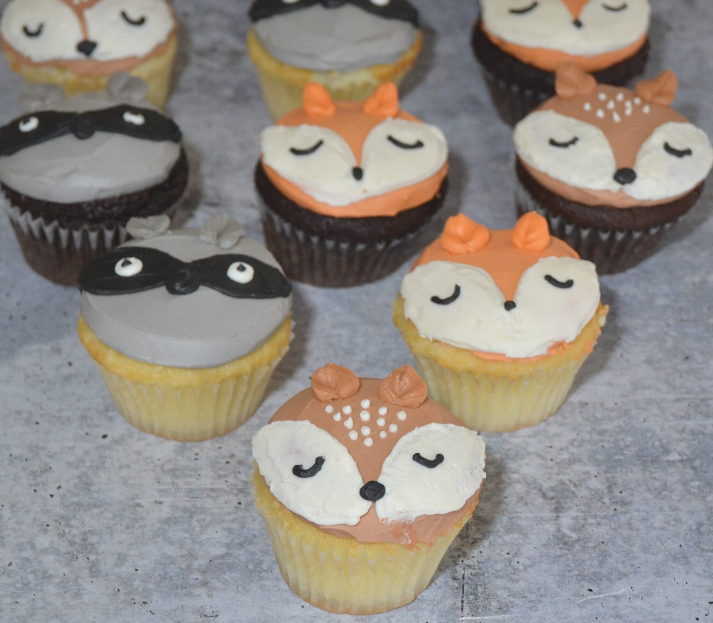 Woodland Animal Cupcakes