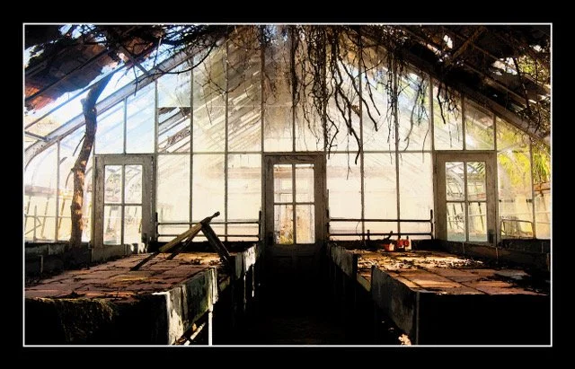 Forgotten Sanctuary - 2008 - 17.5x11.25.jpeg