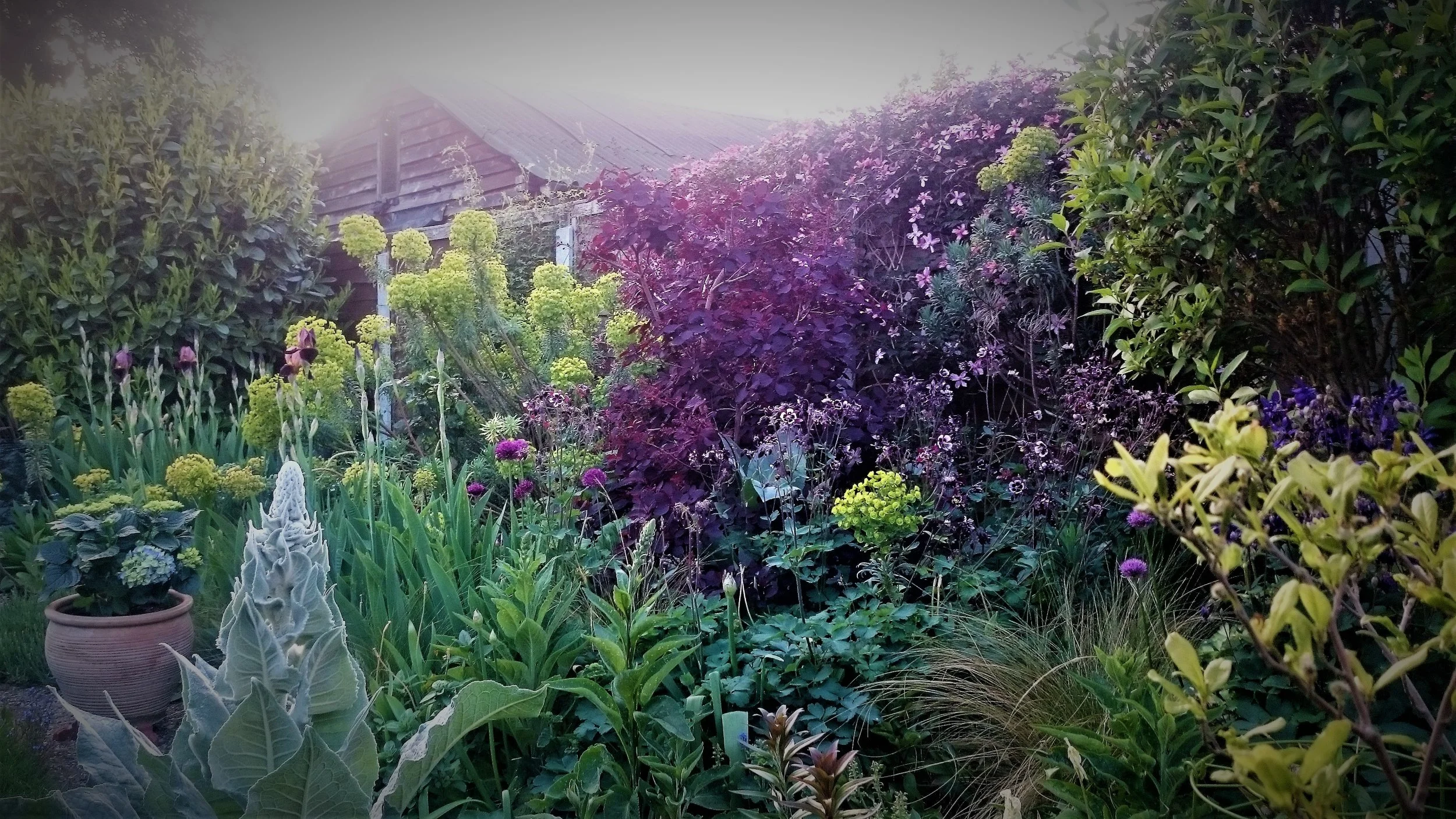 DSC_0047_8 - Copy.JPG