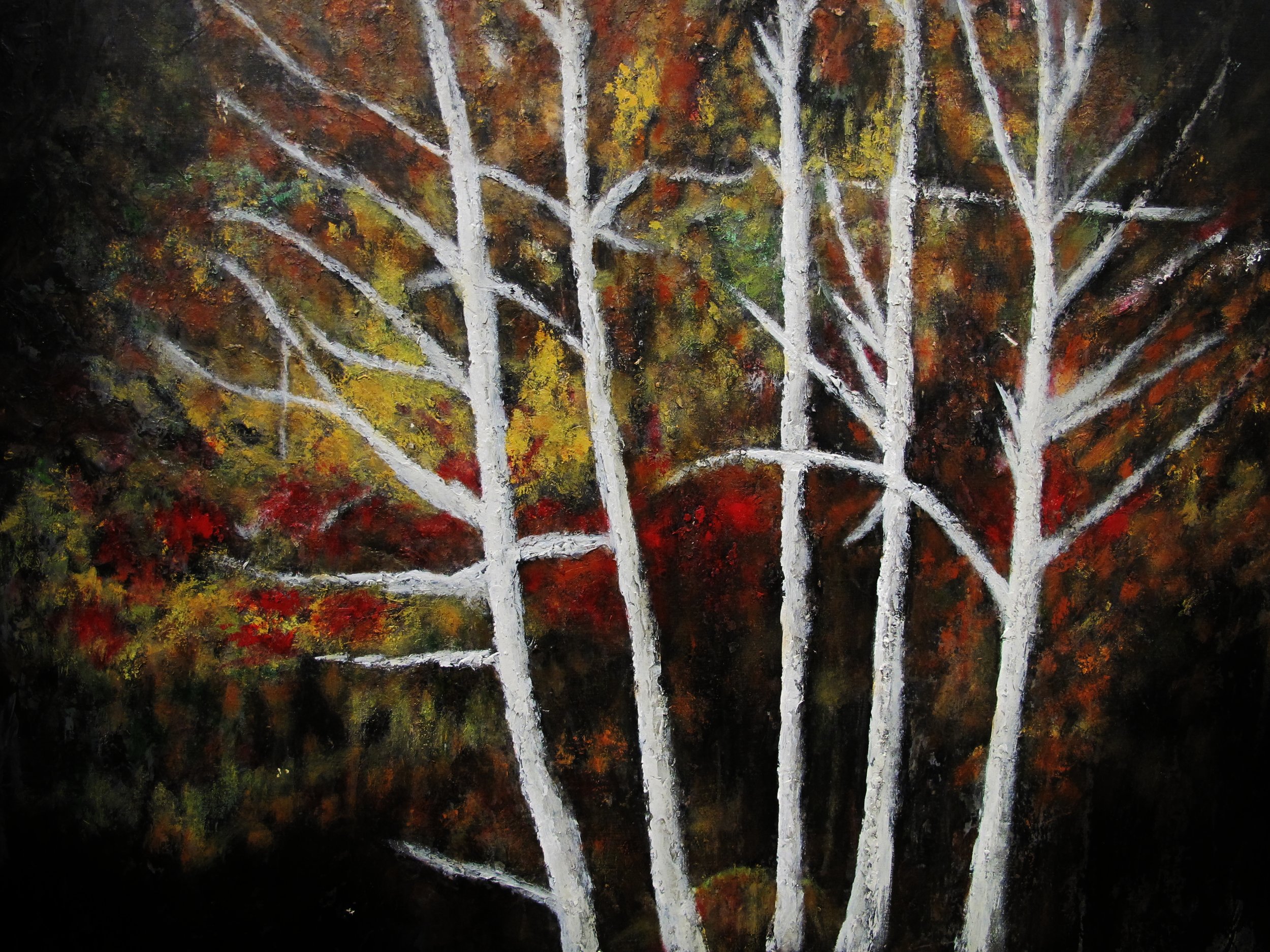 White Birch