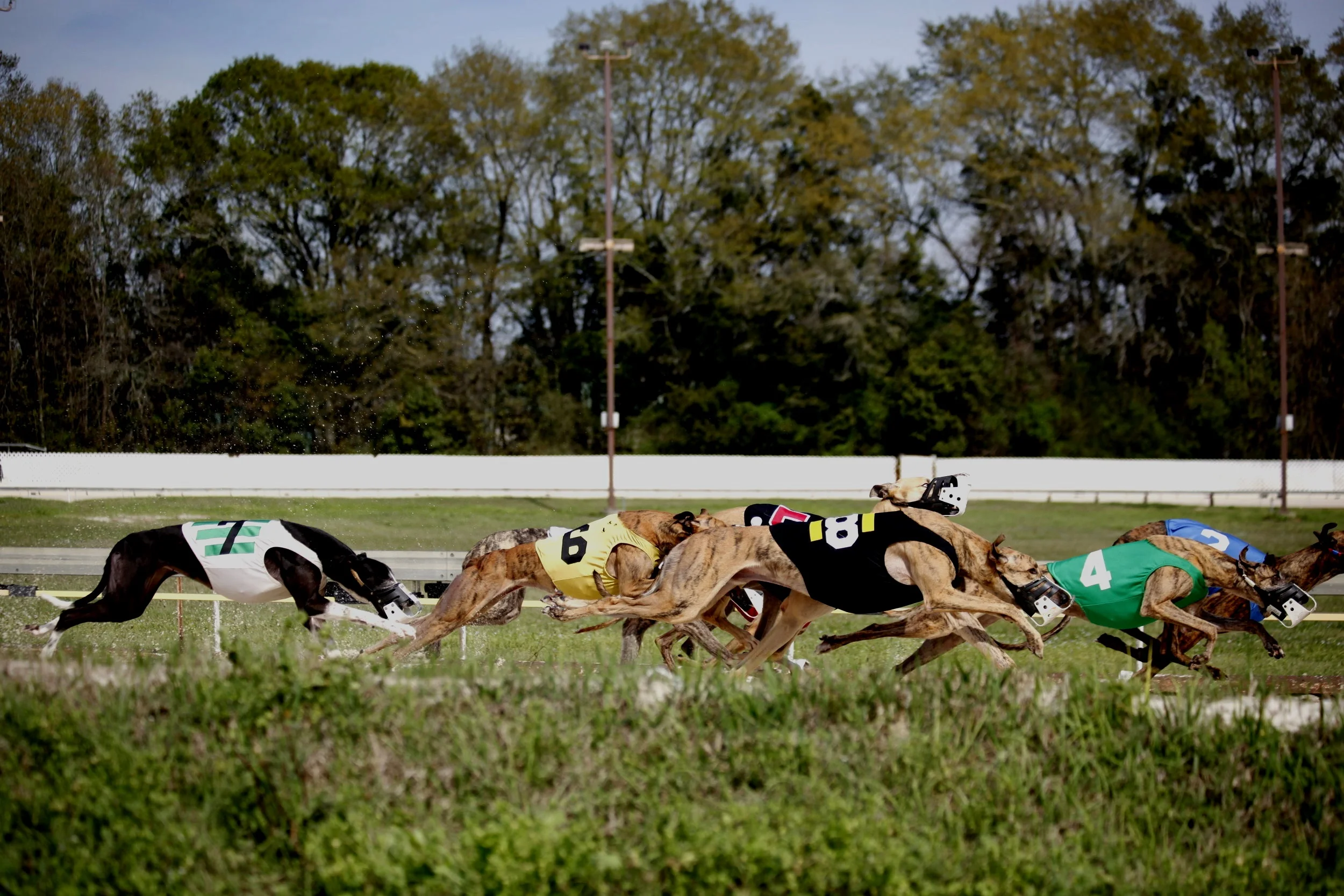 Mobile Greyhound Park
