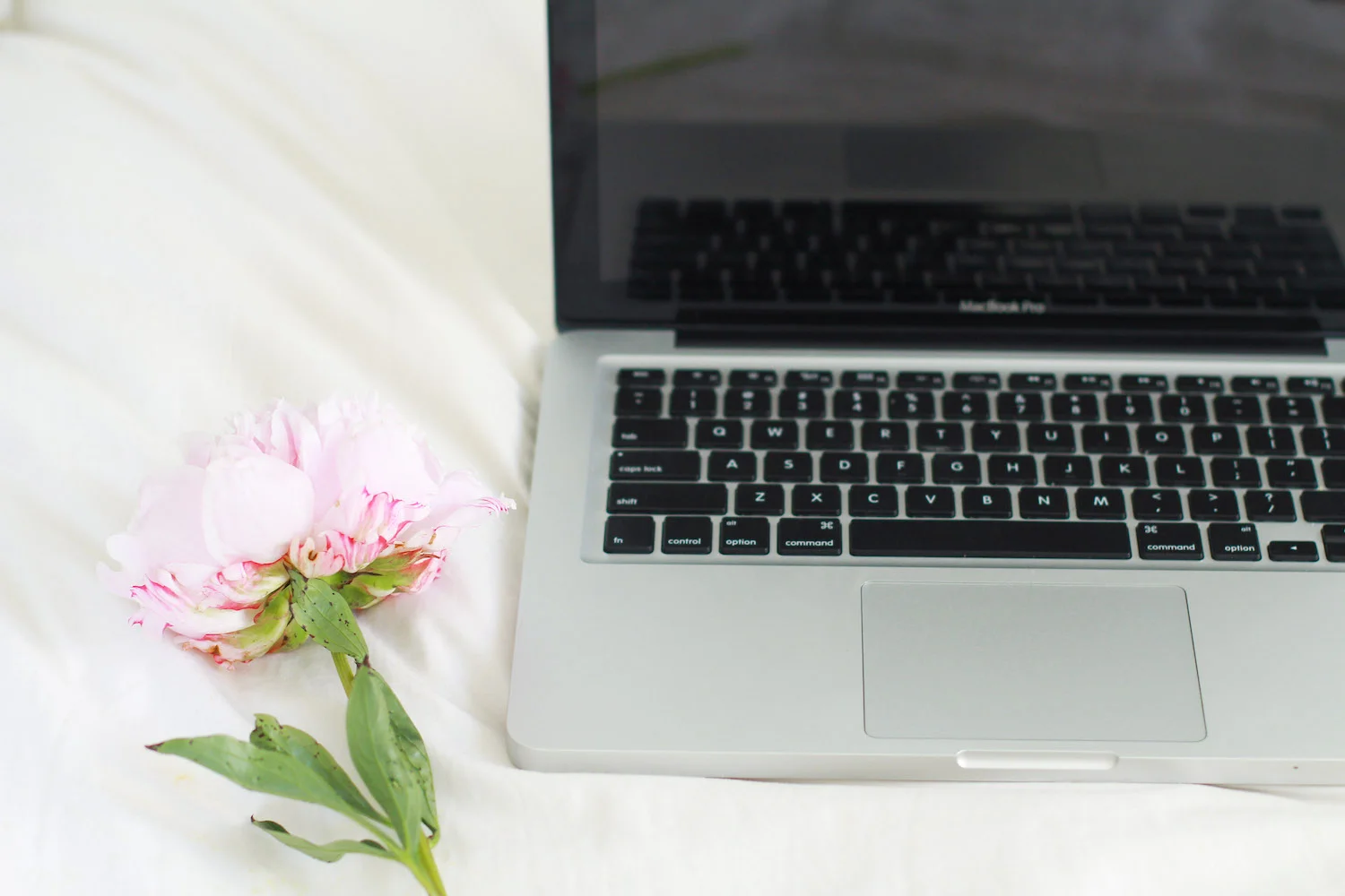 Laptop 2.jpg