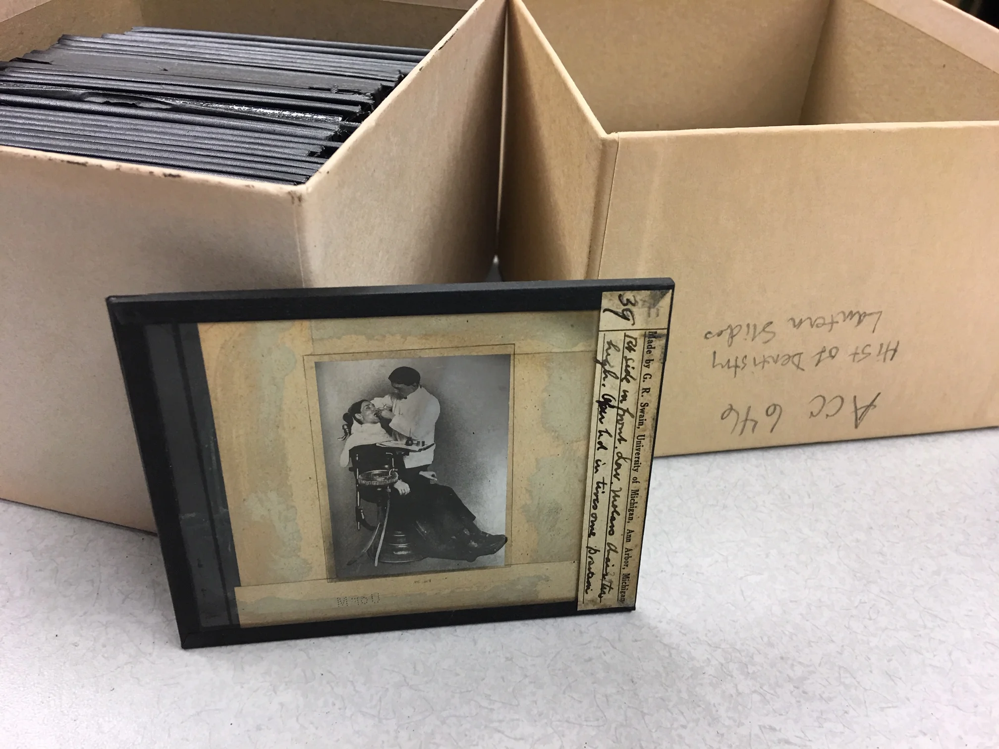 Summer at the Sindecuse