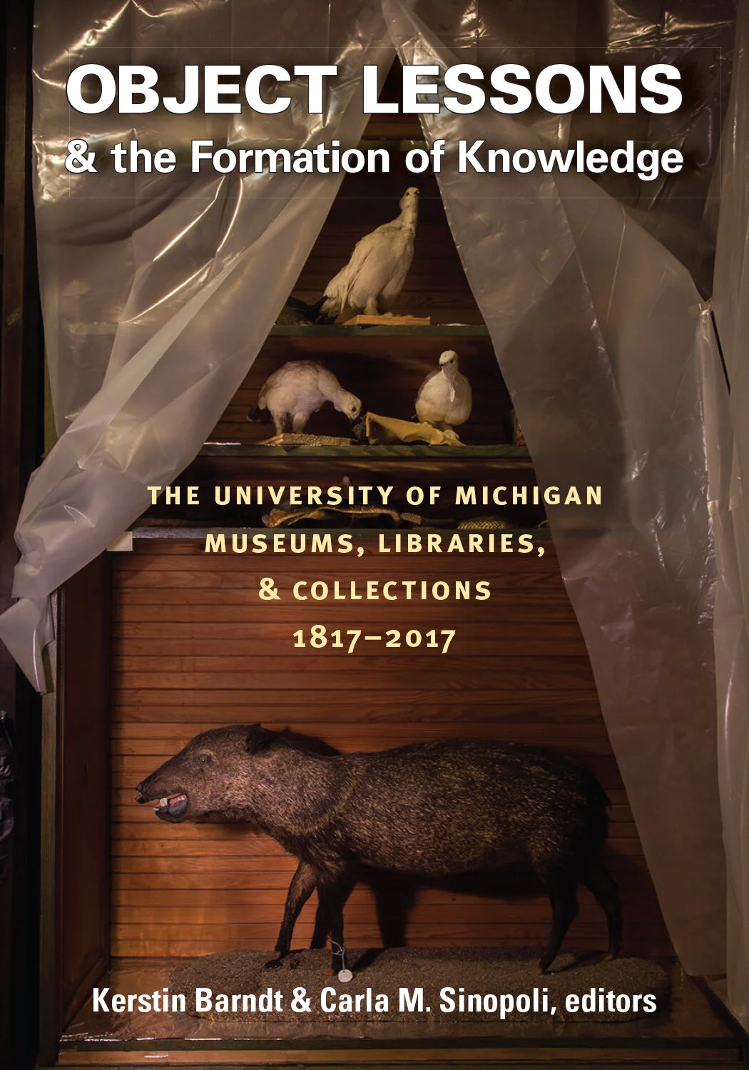 We’re #3! A history of collections at the School of Dentistry