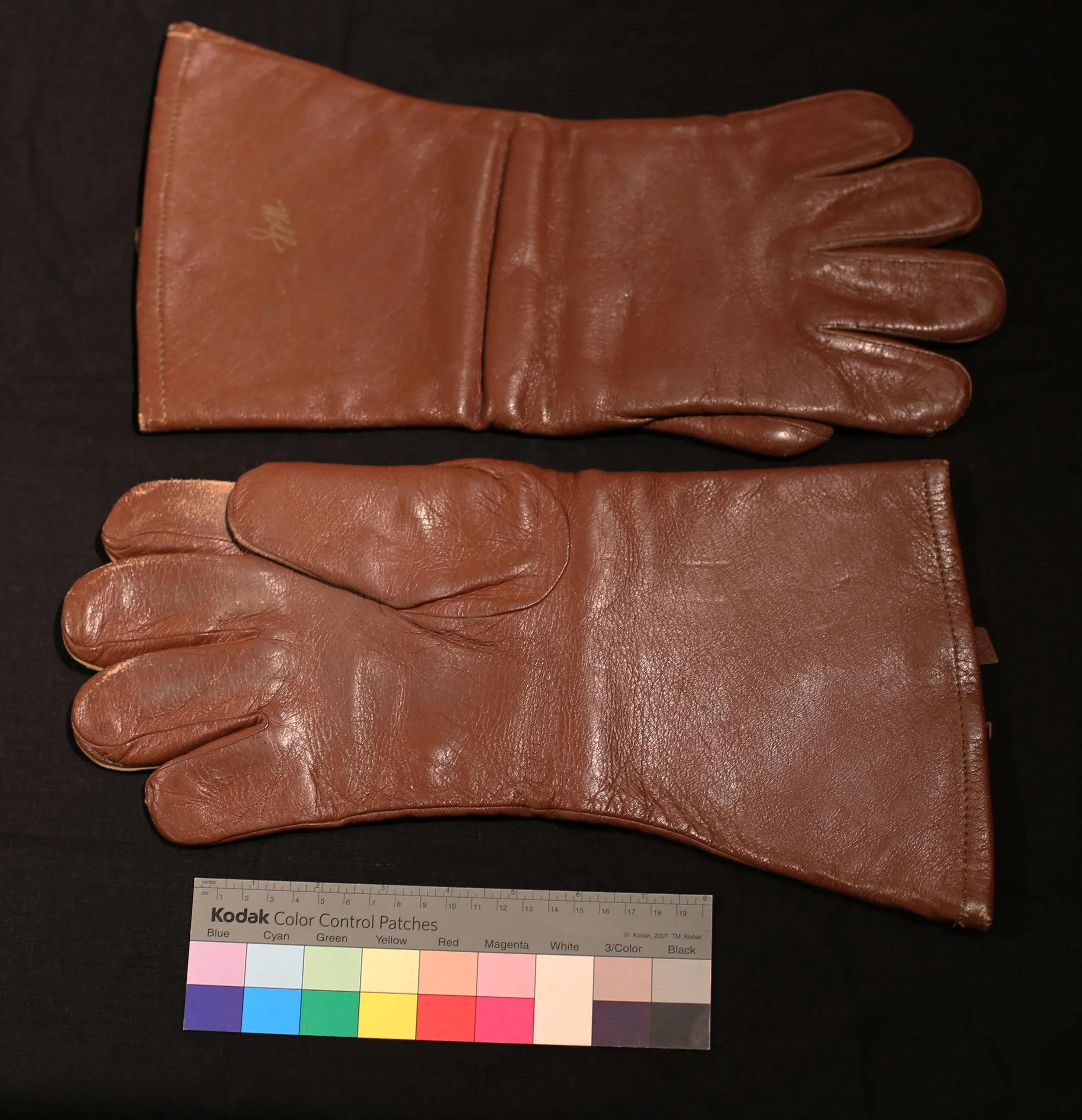 Storeroom Discoveries: X-Ray Gloves