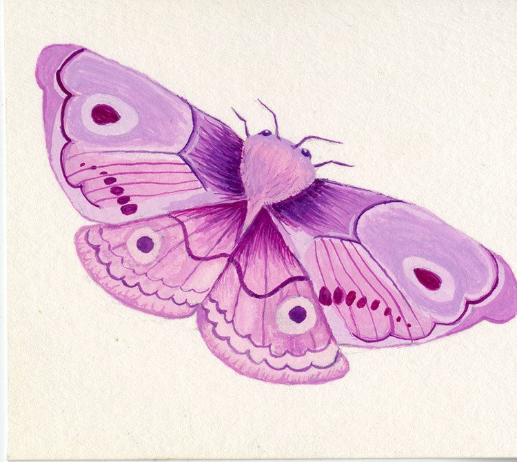 August_Pearson_Purple_Moth.jpg
