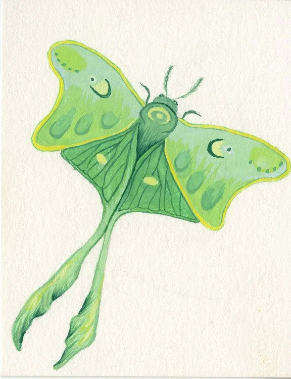 August_Pearson_Green_Moth.jpg