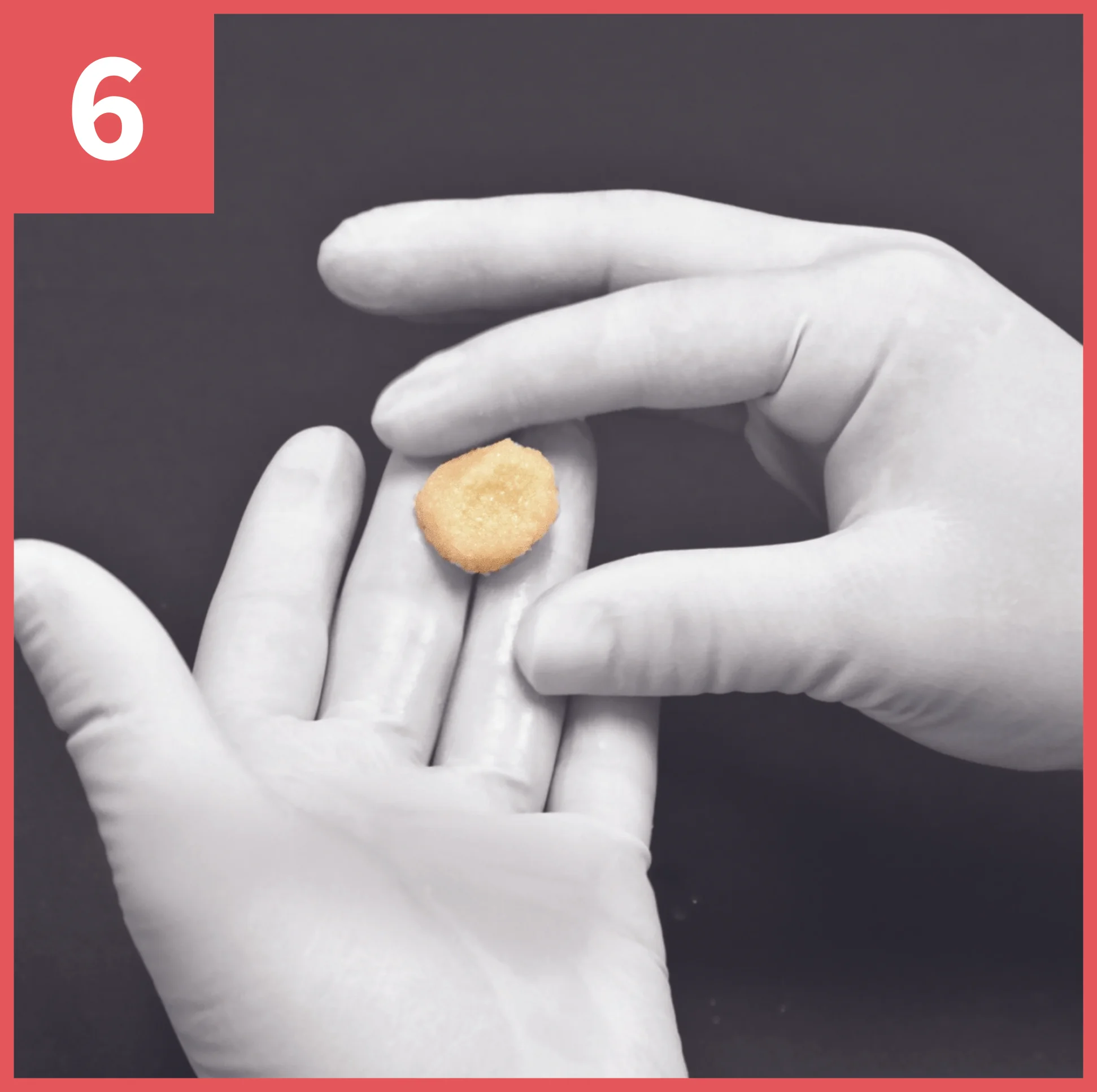 NF_Images_Website_QuickSteps_Step6.jpg