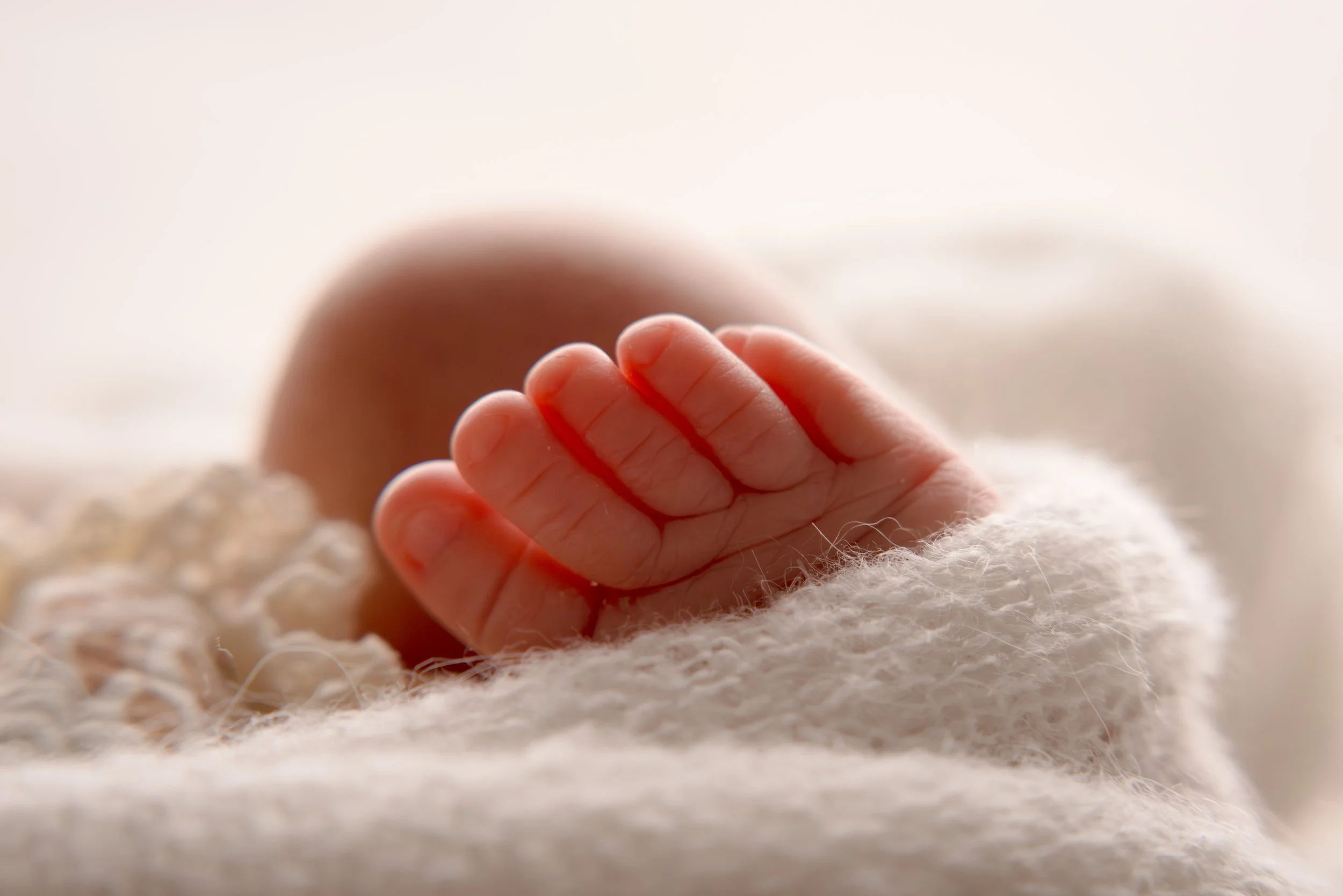 Alejandra website-3.jpg